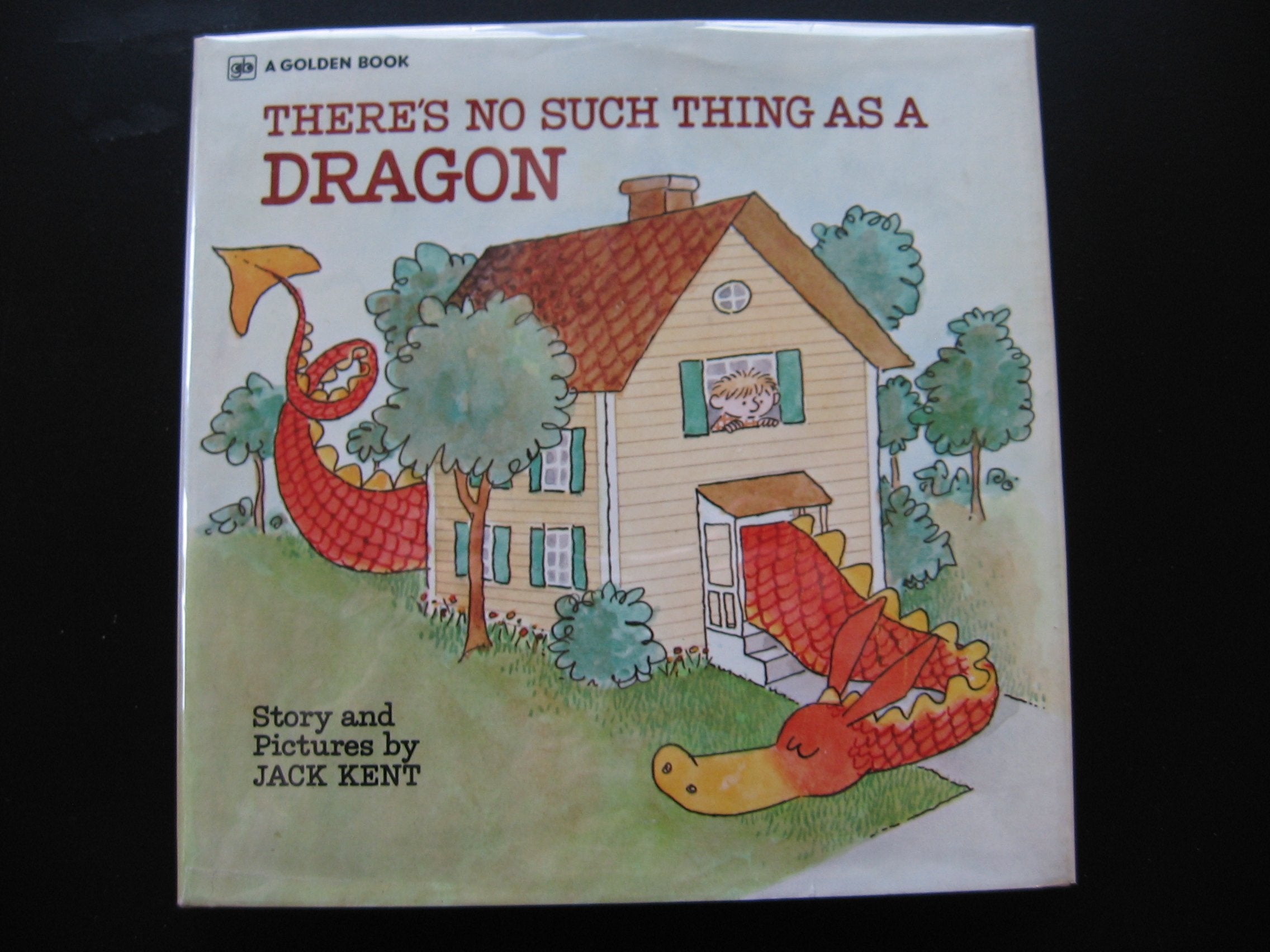 There's No Such Thing as a Dragon: Story and Pictures book