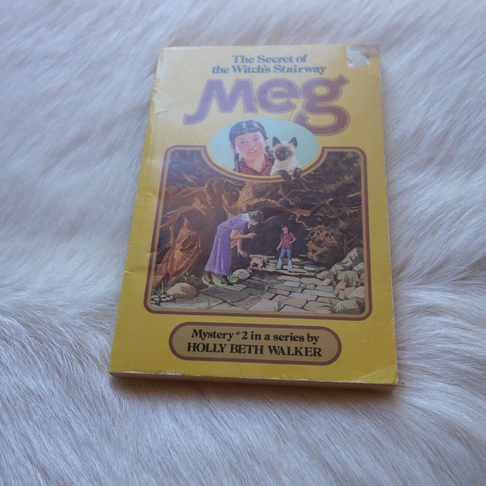 Meg - The Secret of the Witch`s Stairway Books