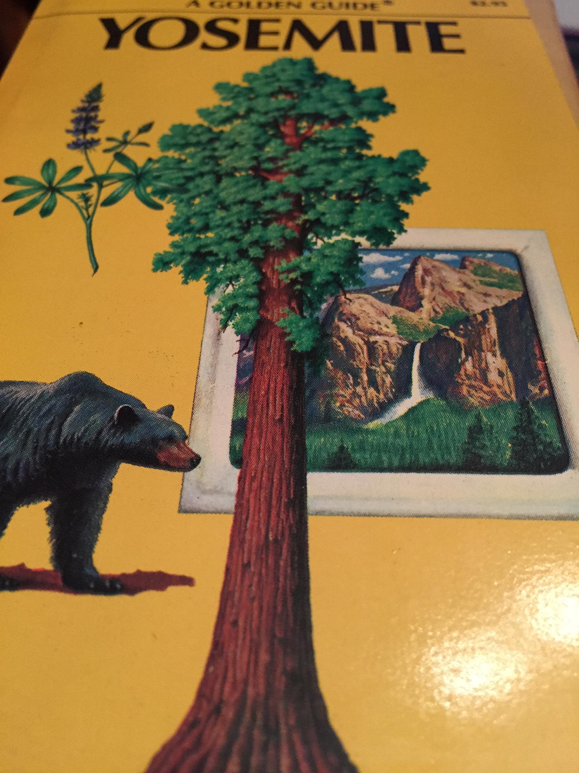 Yosemite National Park (A Golden Guide) Books