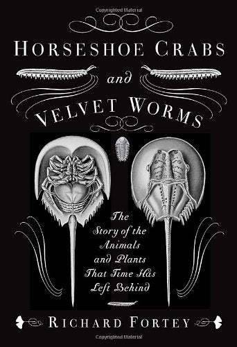 Horseshoe Crabs and Velvet Worms: The Story of the Animals and Plants That Time Has Left Behind Mathematics