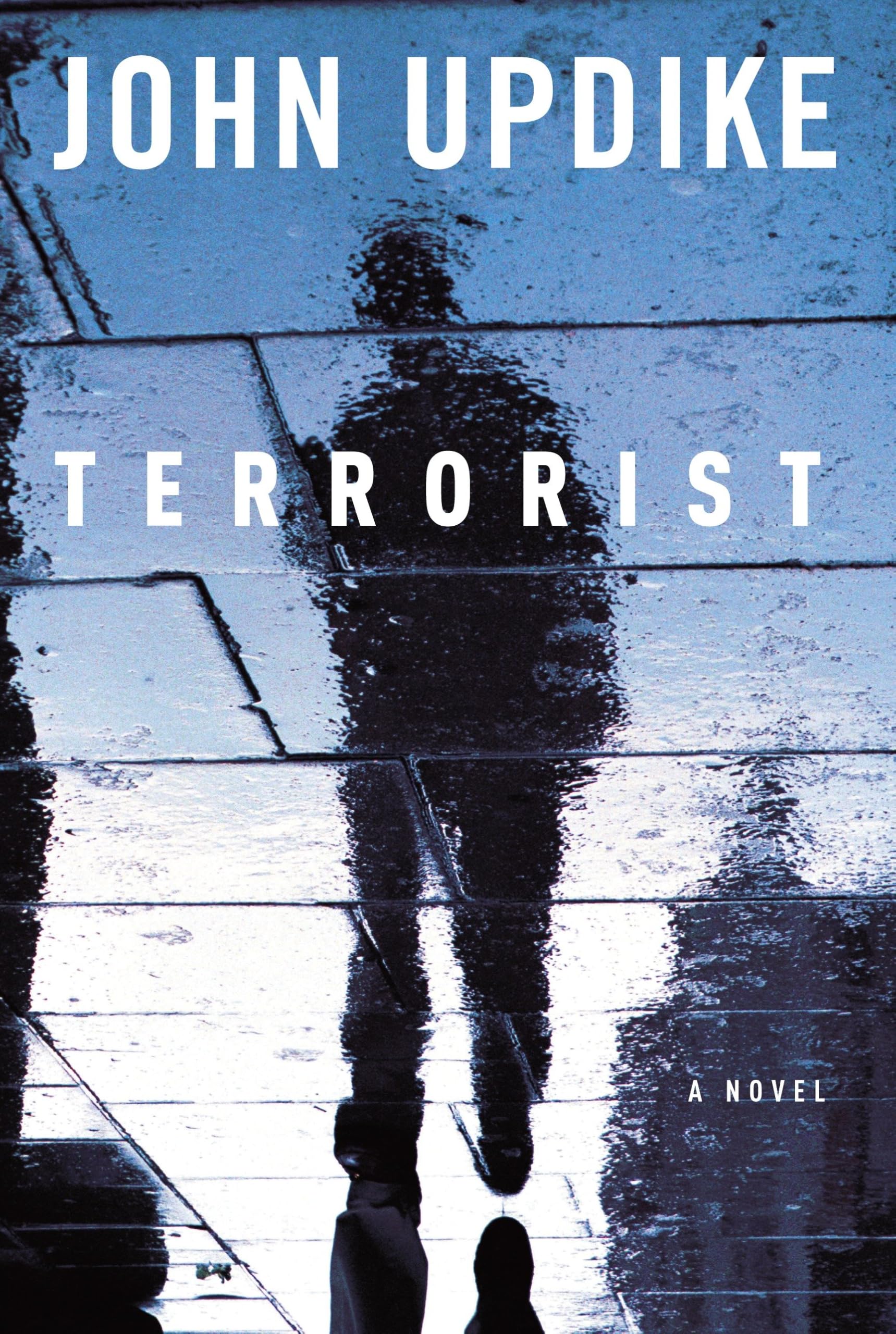 Terrorist Contemporary literature Books