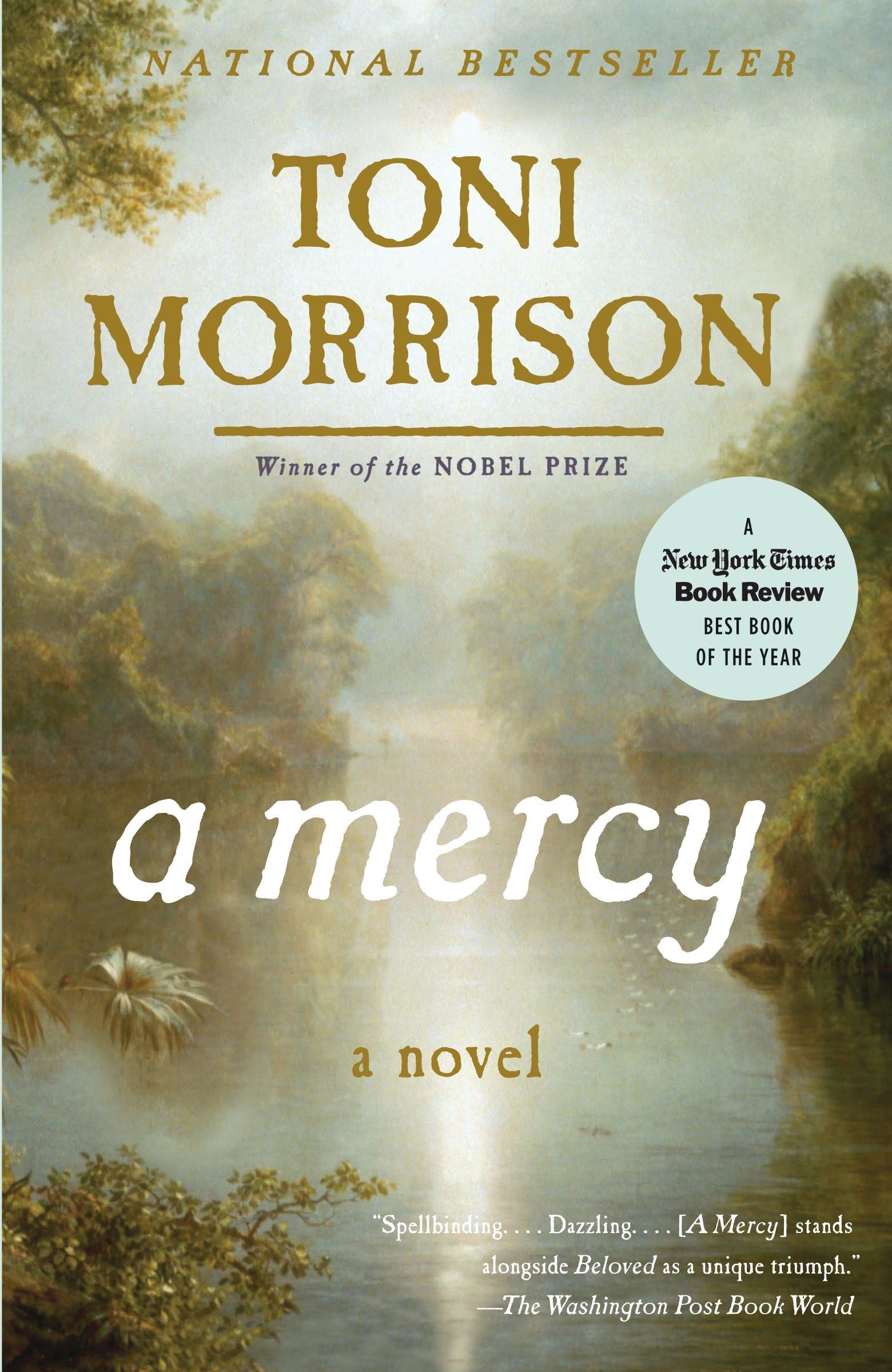 A Mercy Contemporary literature Books