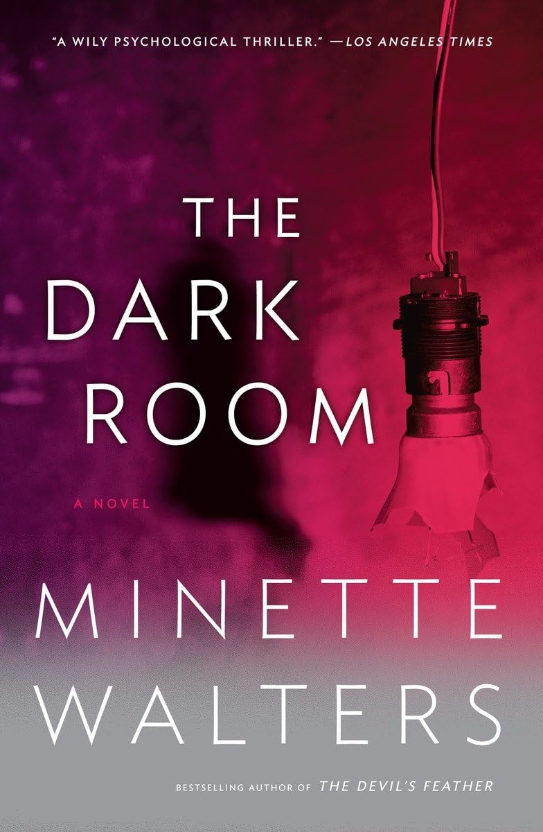 The Dark Room (Vintage Crime/Black Lizard) Contemporary literature