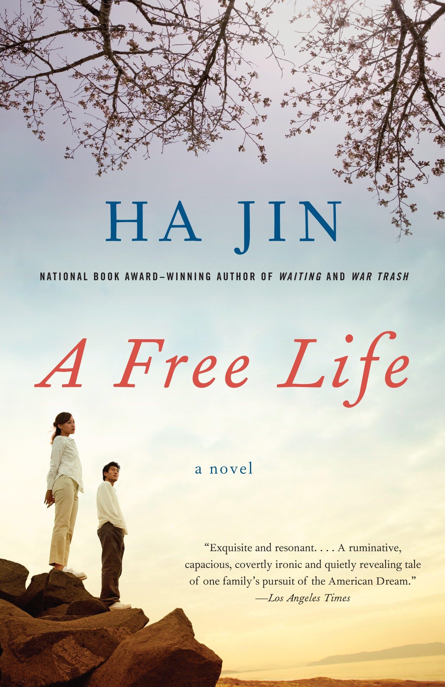 A Free Life: A novel (Vintage International) Contemporary literature