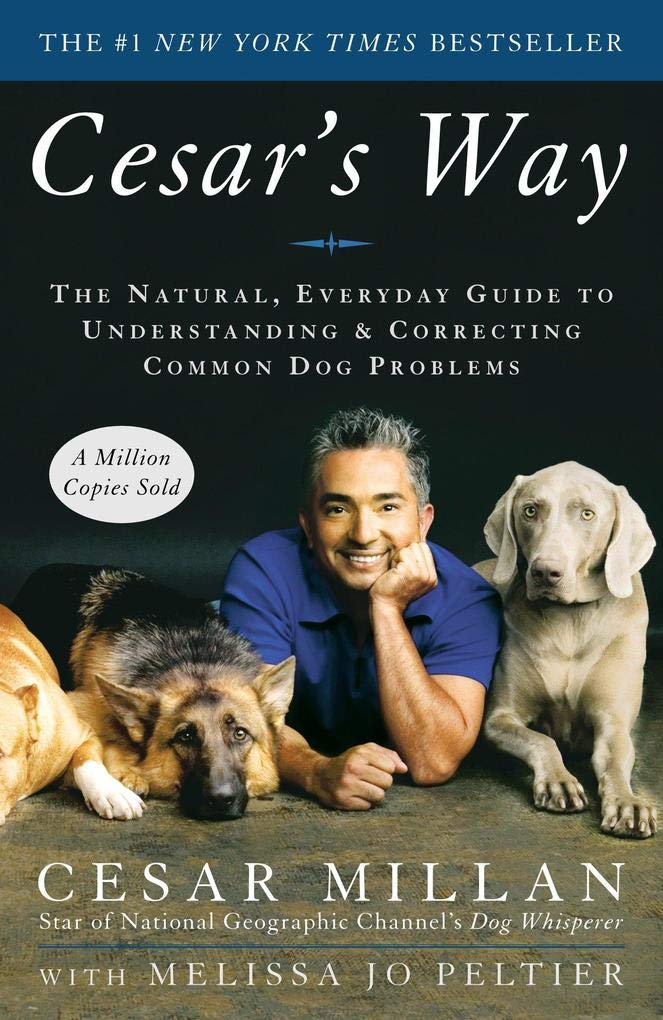 Cesar's Way Pets