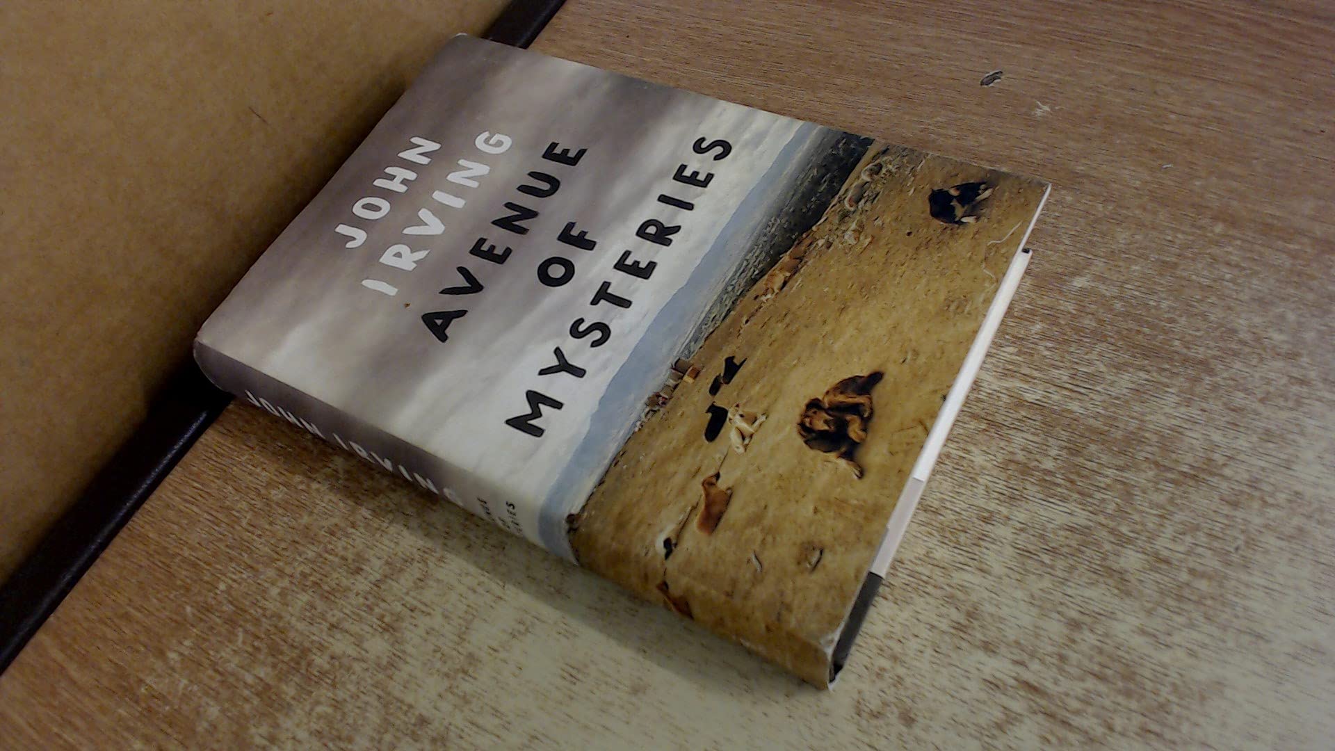 Avenue of Mysteries Contemporary literature