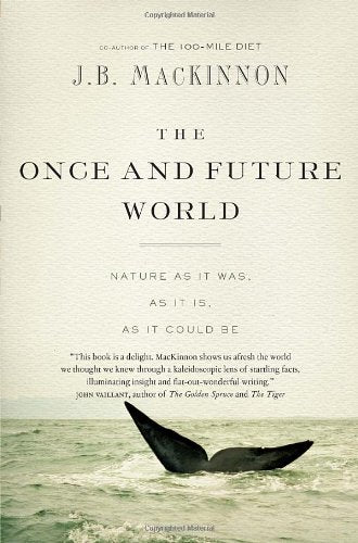 The Once and Future World: Nature As It Was, As It Is, As It Could Be Mathematics