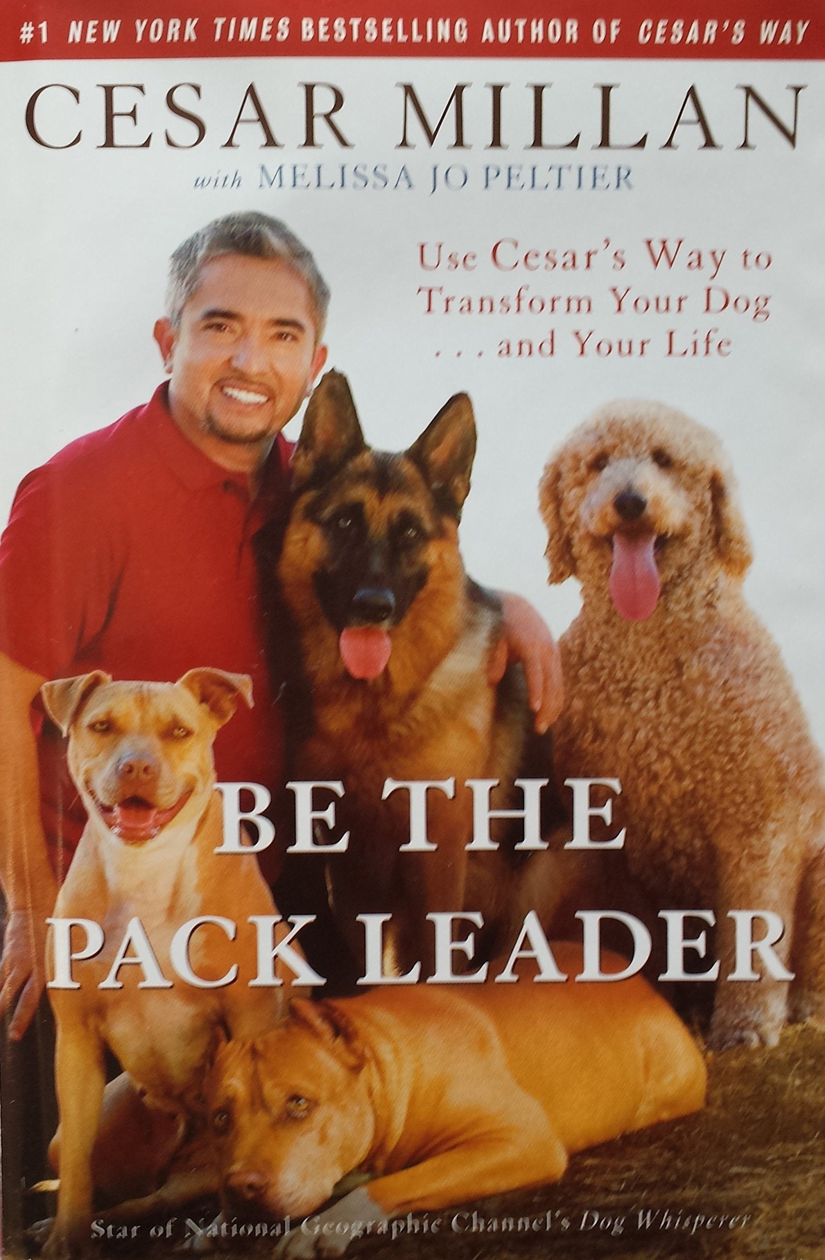 Be the Pack Leader: Use Cesar's Way to Transform Your Dog . . . and Your Life Pets