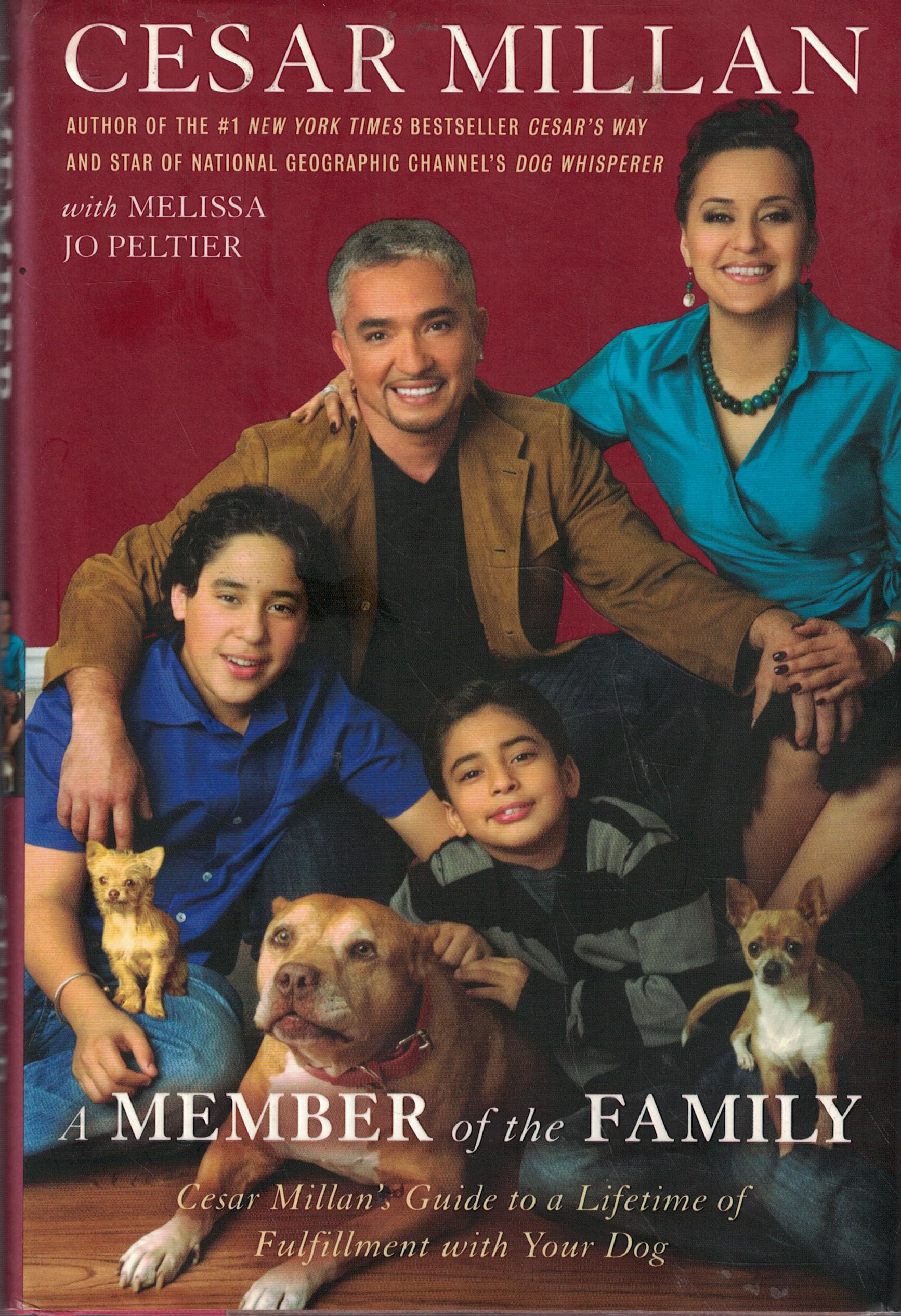 A Member of the Family: Cesar Millan's Guide to a Lifetime of Fulfillment With Your Dog Pets