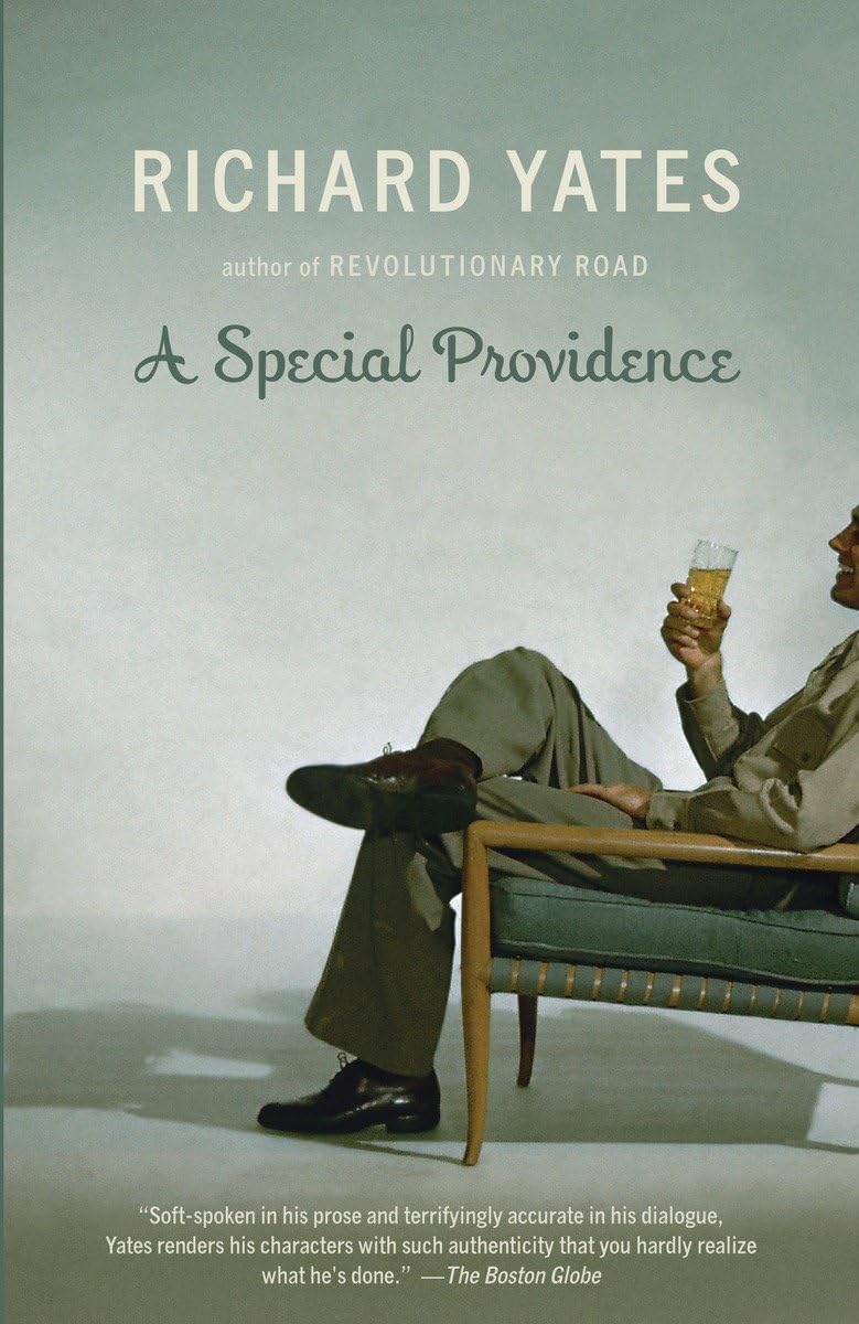 A Special Providence (Vintage Contemporaries) Action & Adventure