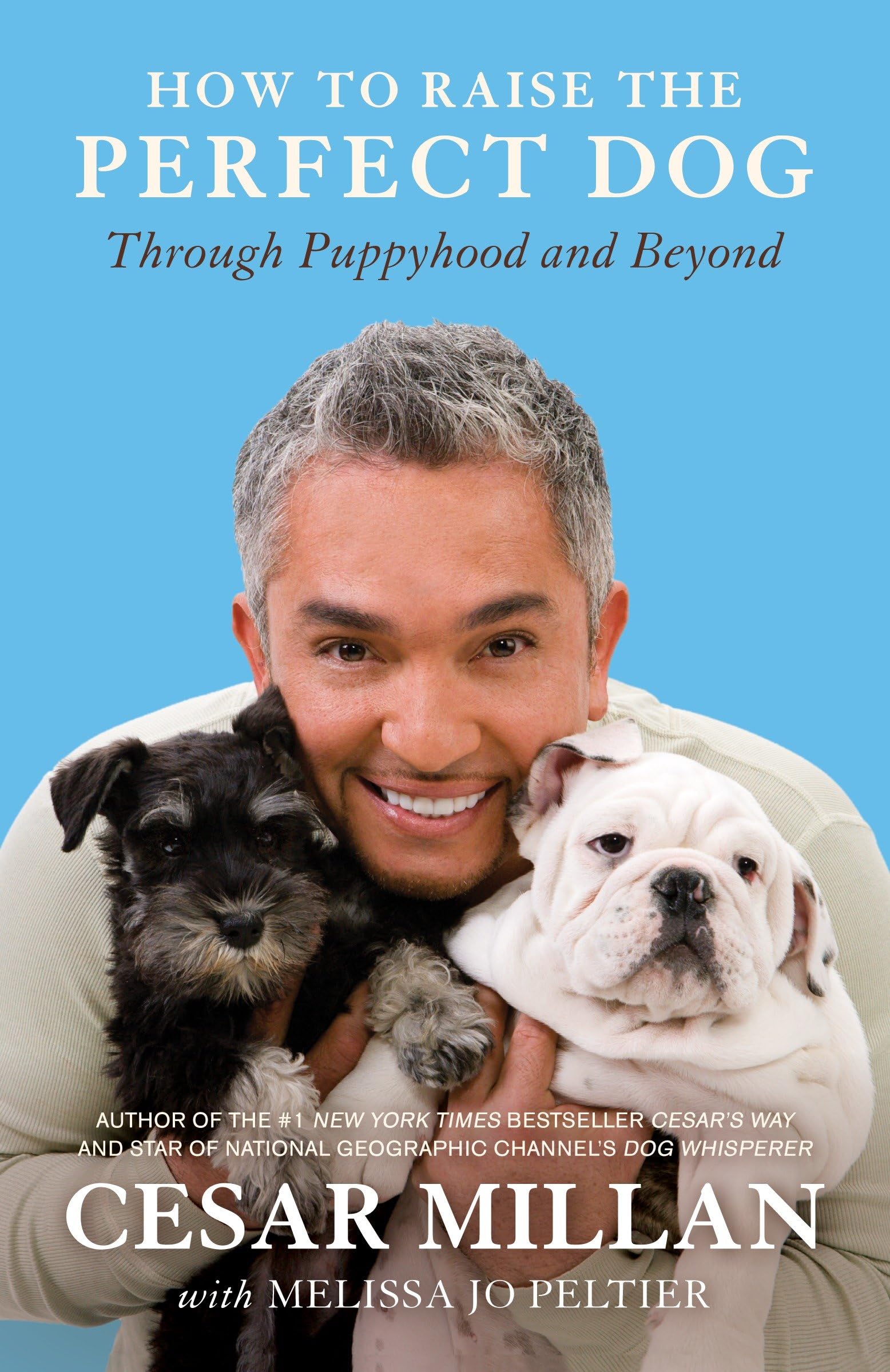 How to Raise the Perfect Dog Pets