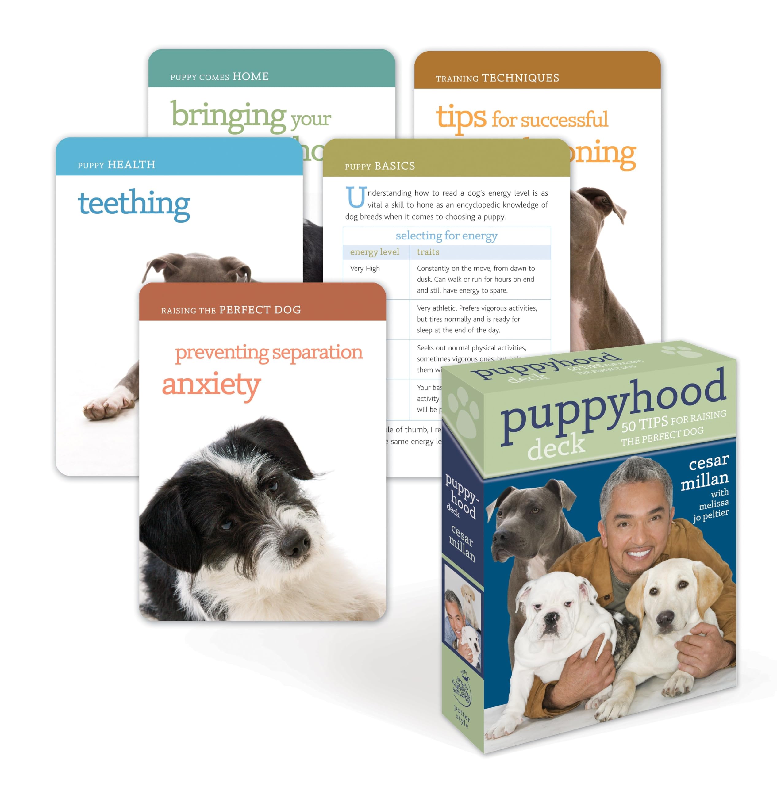 Puppyhood Deck: 50 Tips for Raising the Perfect Dog Pets