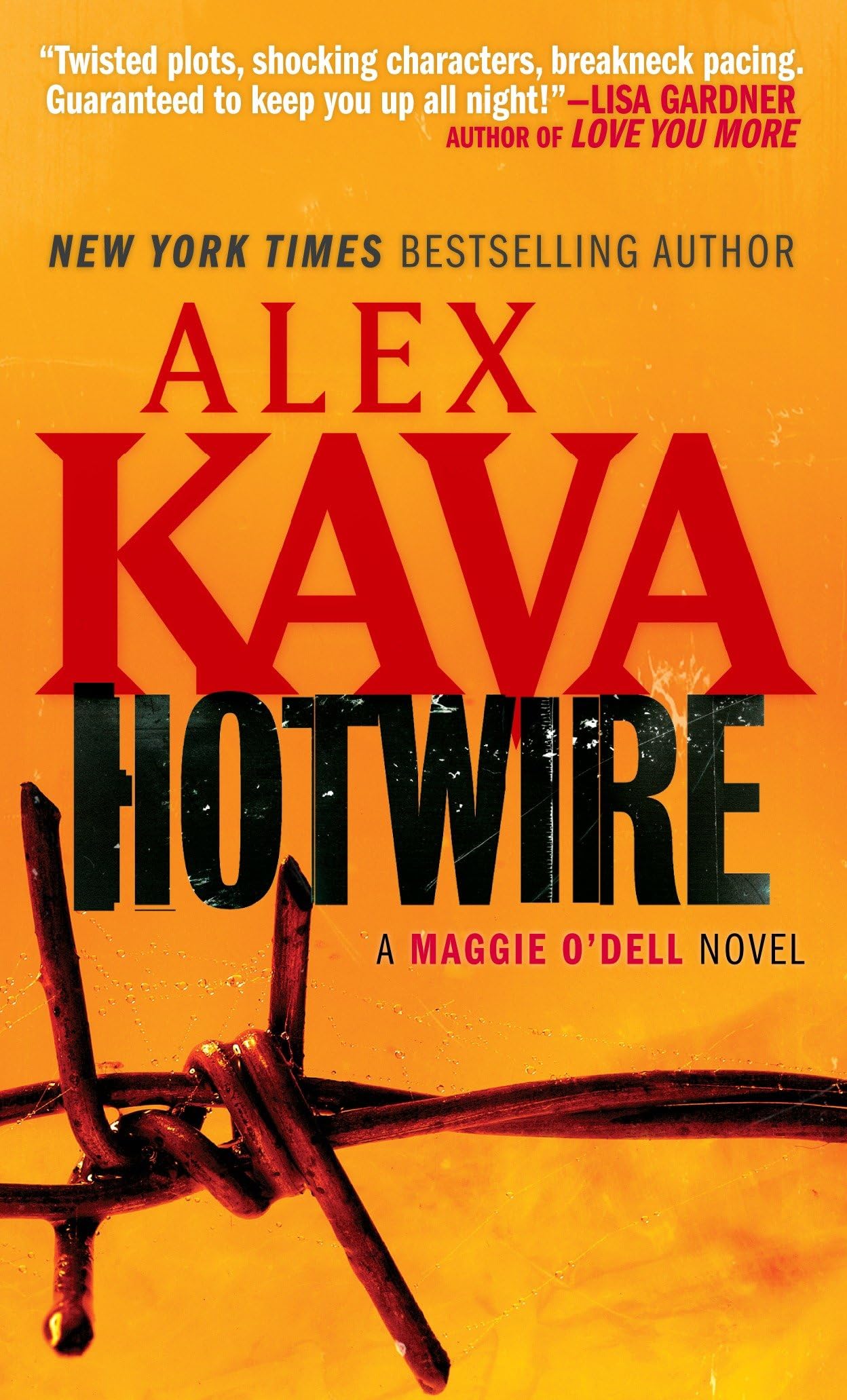 Hotwire (Special Agent Maggie O'Dell Series, Band 2) Contemporary literature