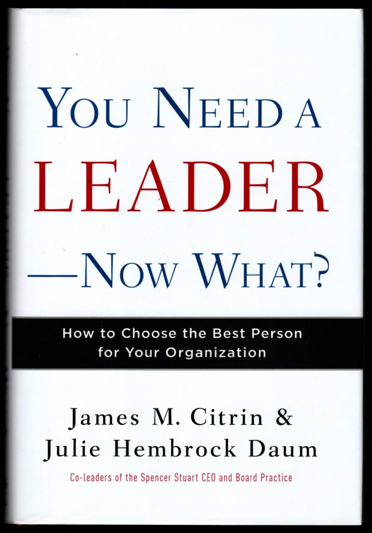 You Need a Leader--Now What?: How to Choose the Best Person for Your Organization Business, Finance & Career
