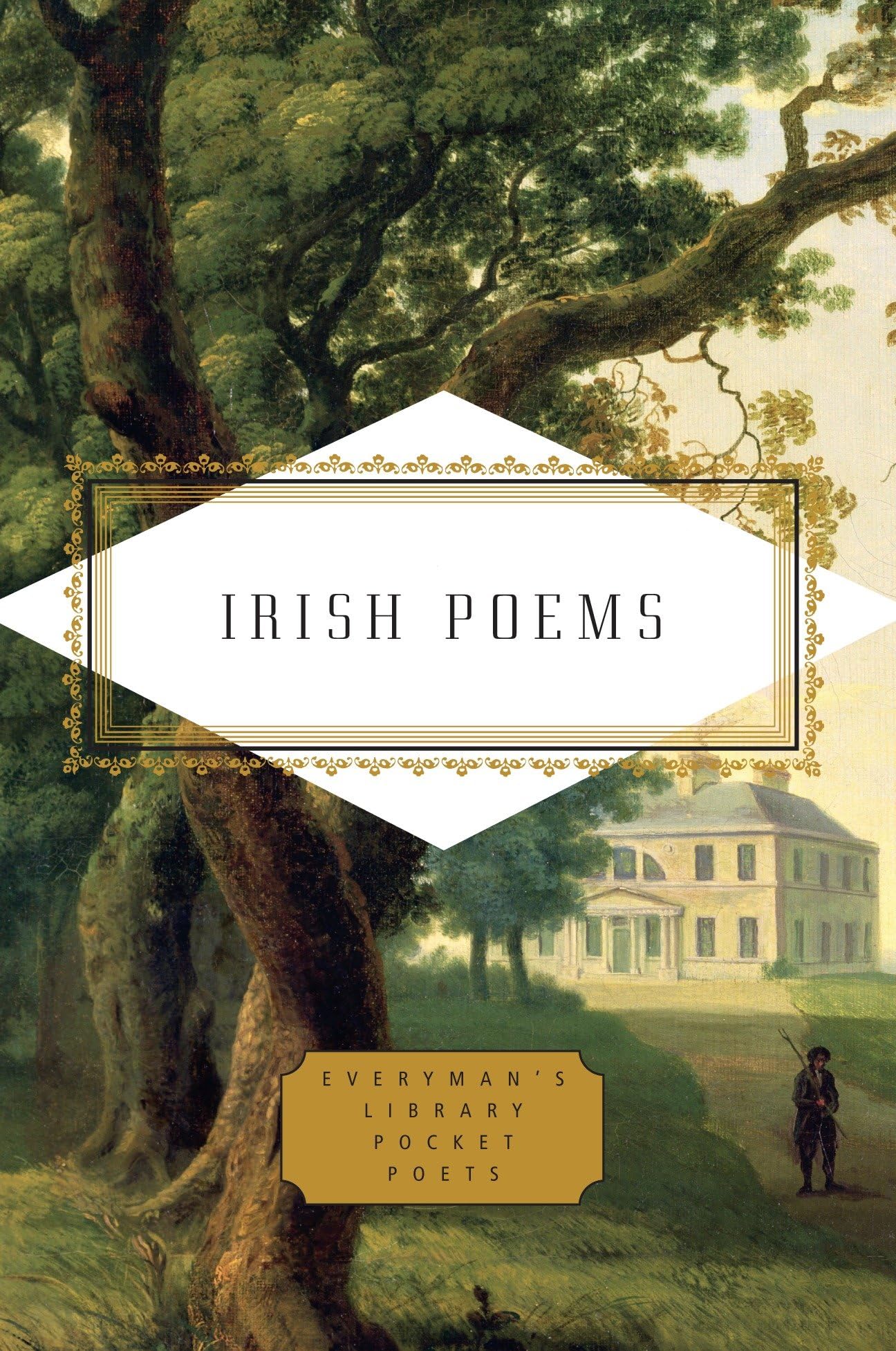 Irish Poems (Everyman's Library Pocket Poets Series) Contemporary literature