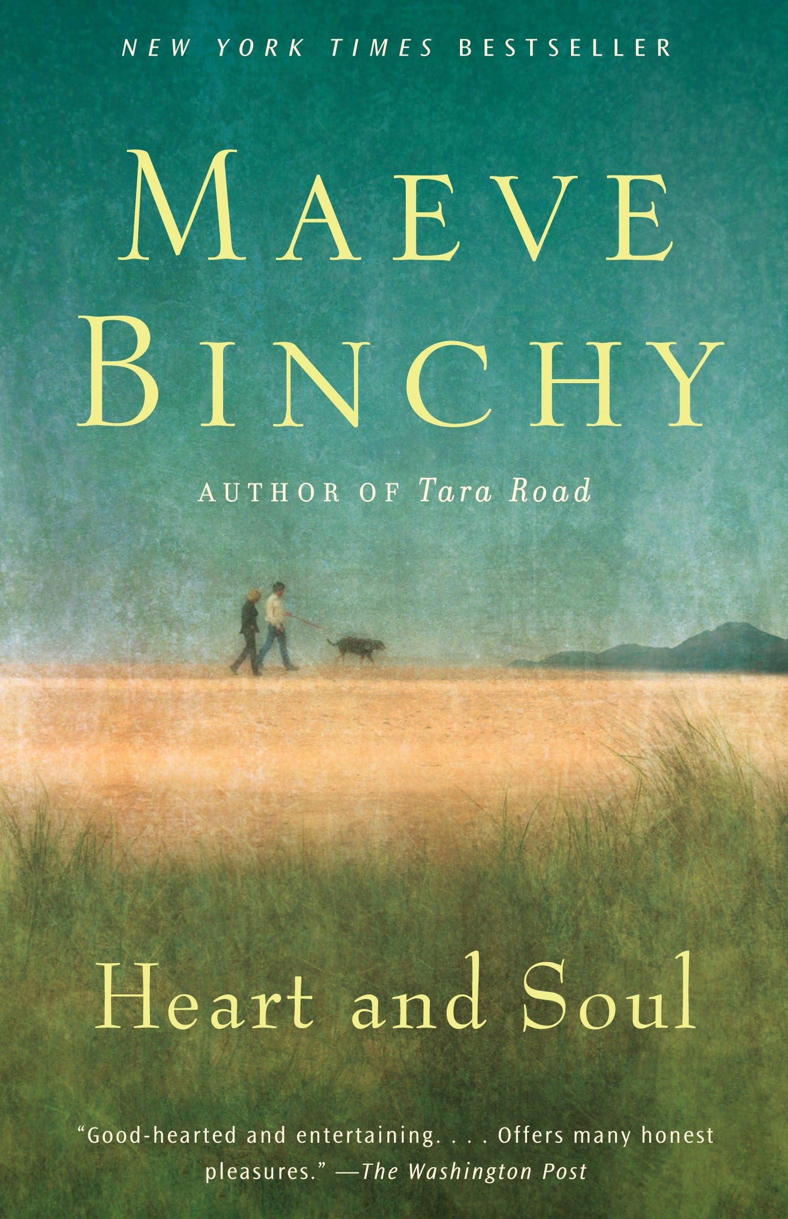 Heart and Soul book