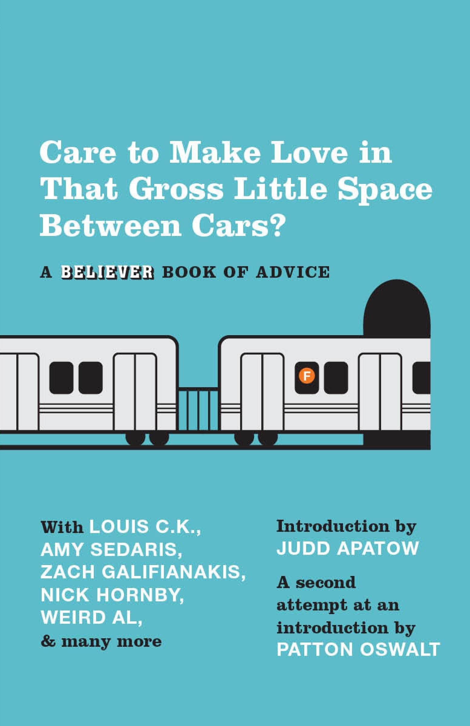 Care To Make Love In That Gross Little Space Between Cars?: A Believer Book of Advice Books