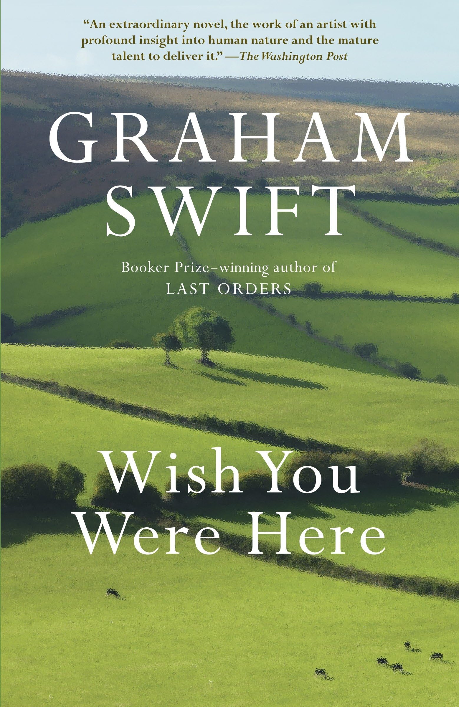 Wish You Were Here (Vintage International) Contemporary literature
