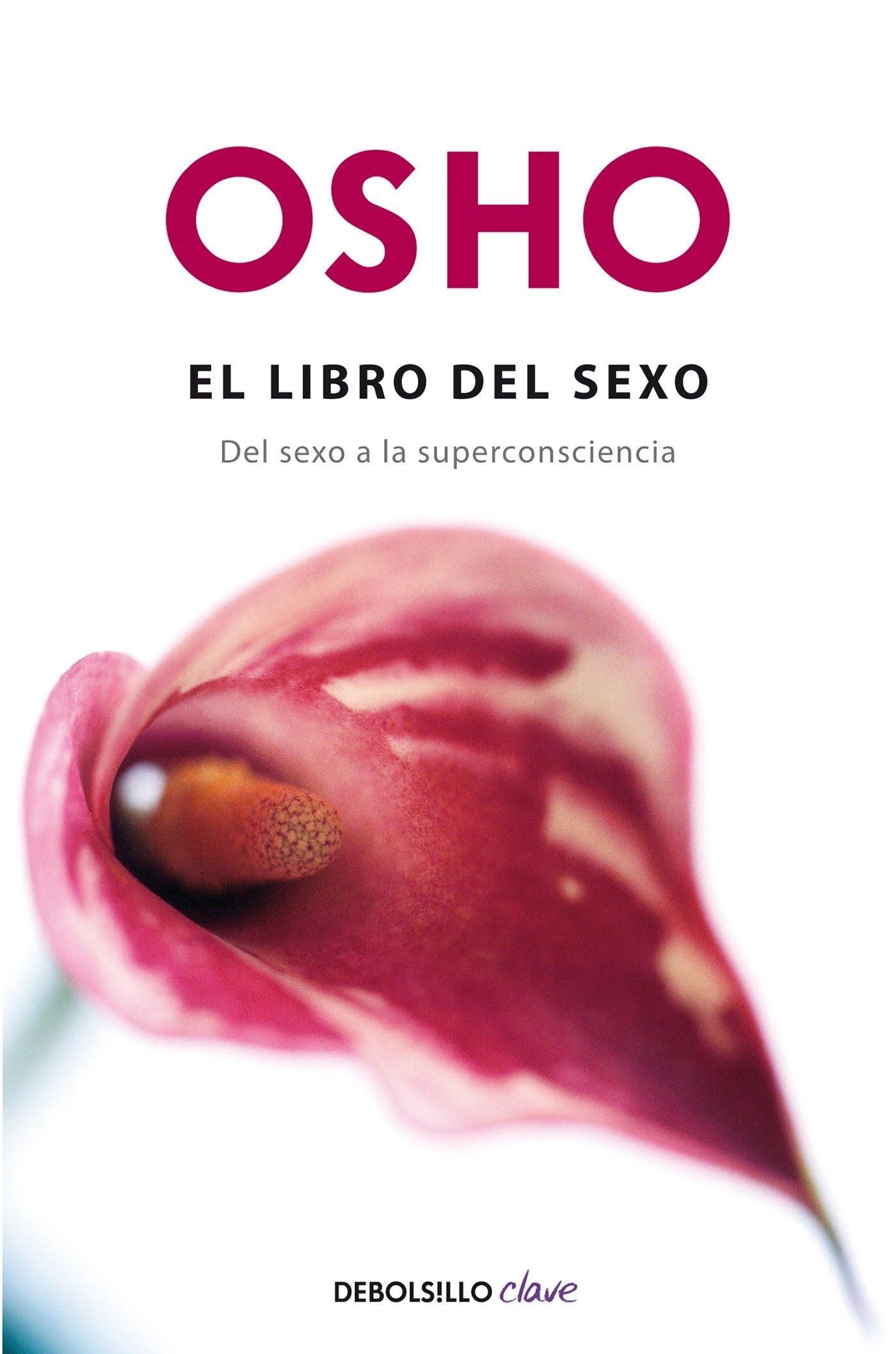 El libro del sexo / Sex Matters (Debolsillo Clave) Eroticism
