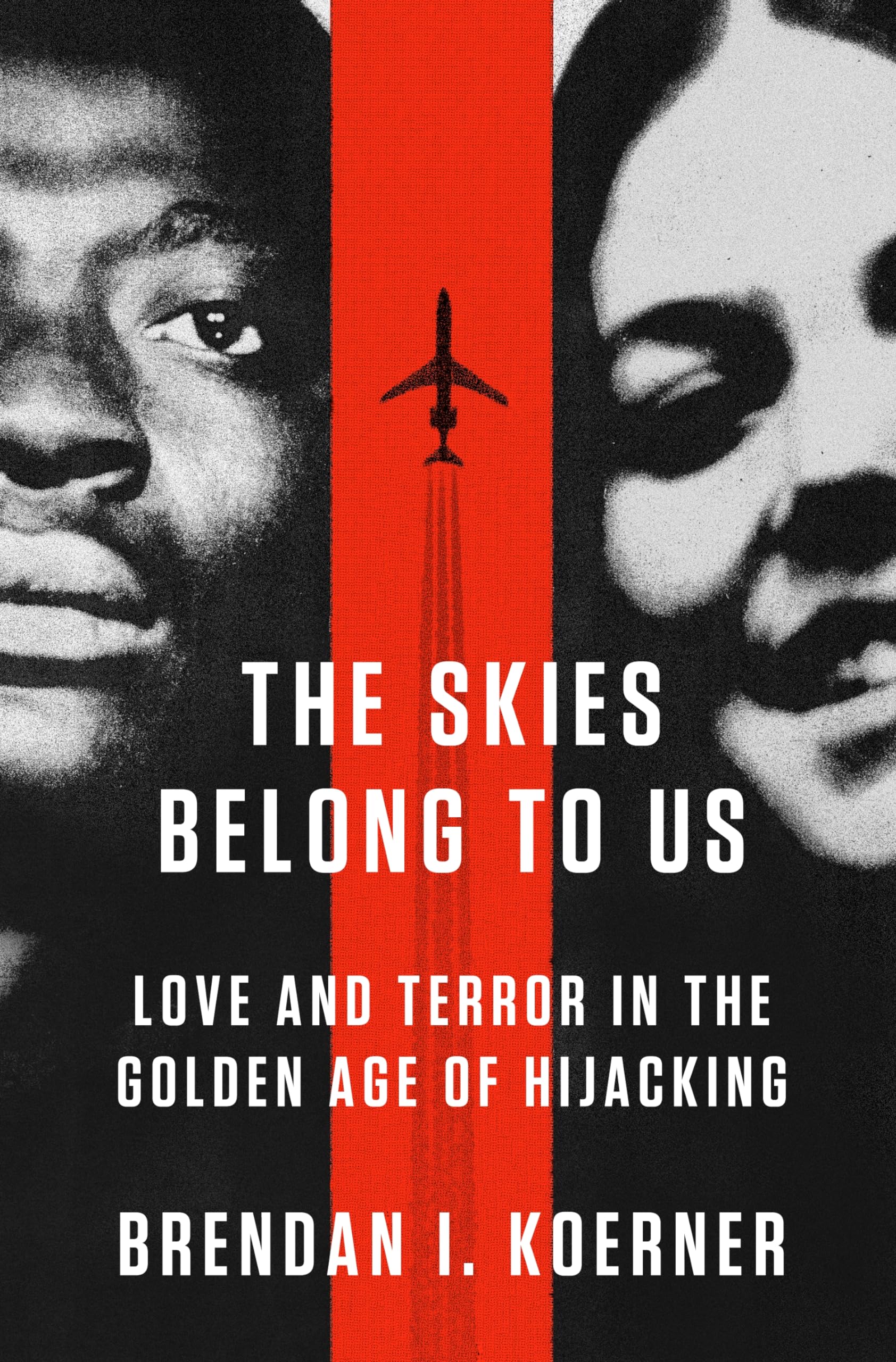 The Skies Belong to Us book