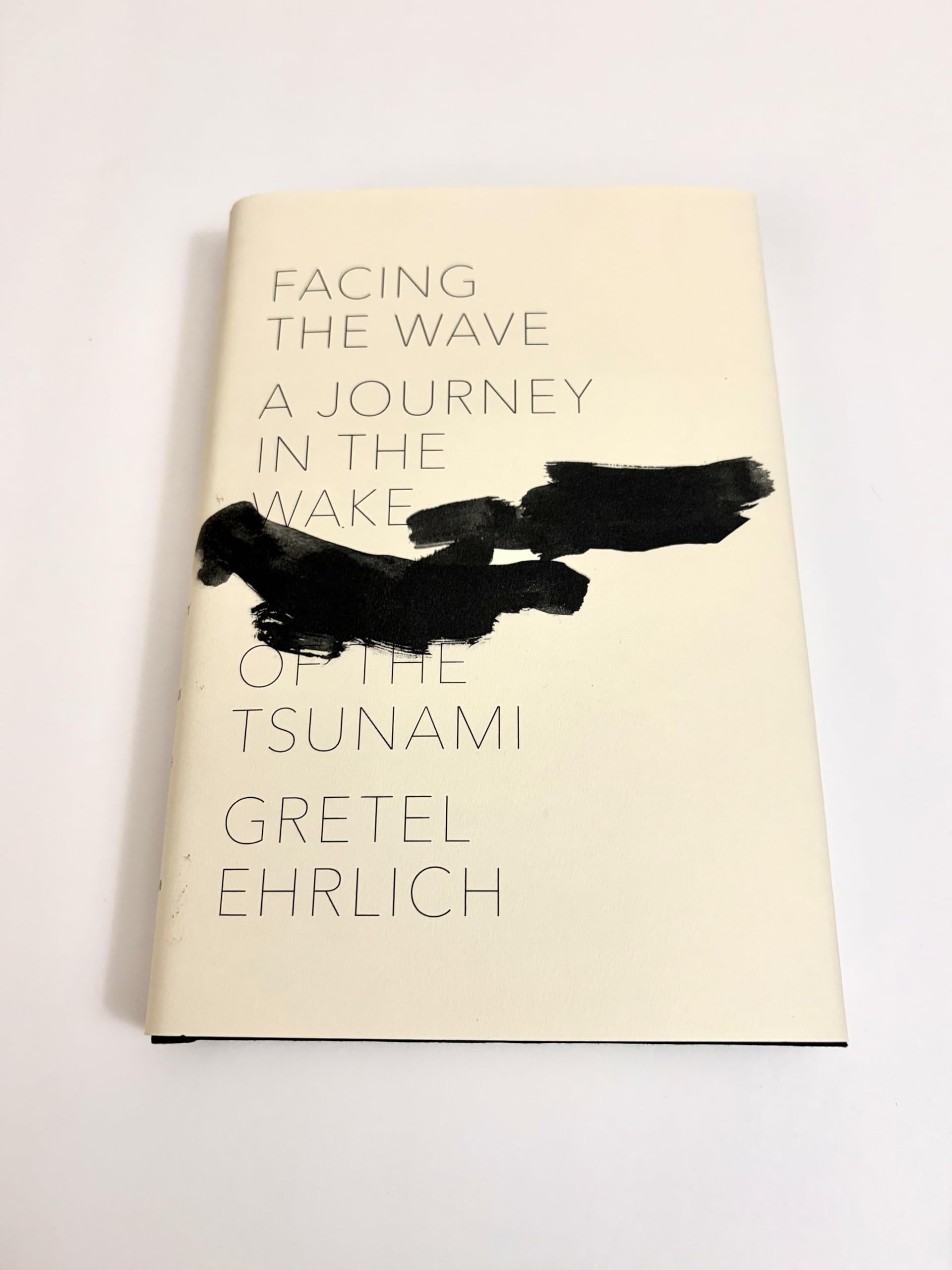 Facing the Wave: A Journey in the Wake of the Tsunami Geology & Geography