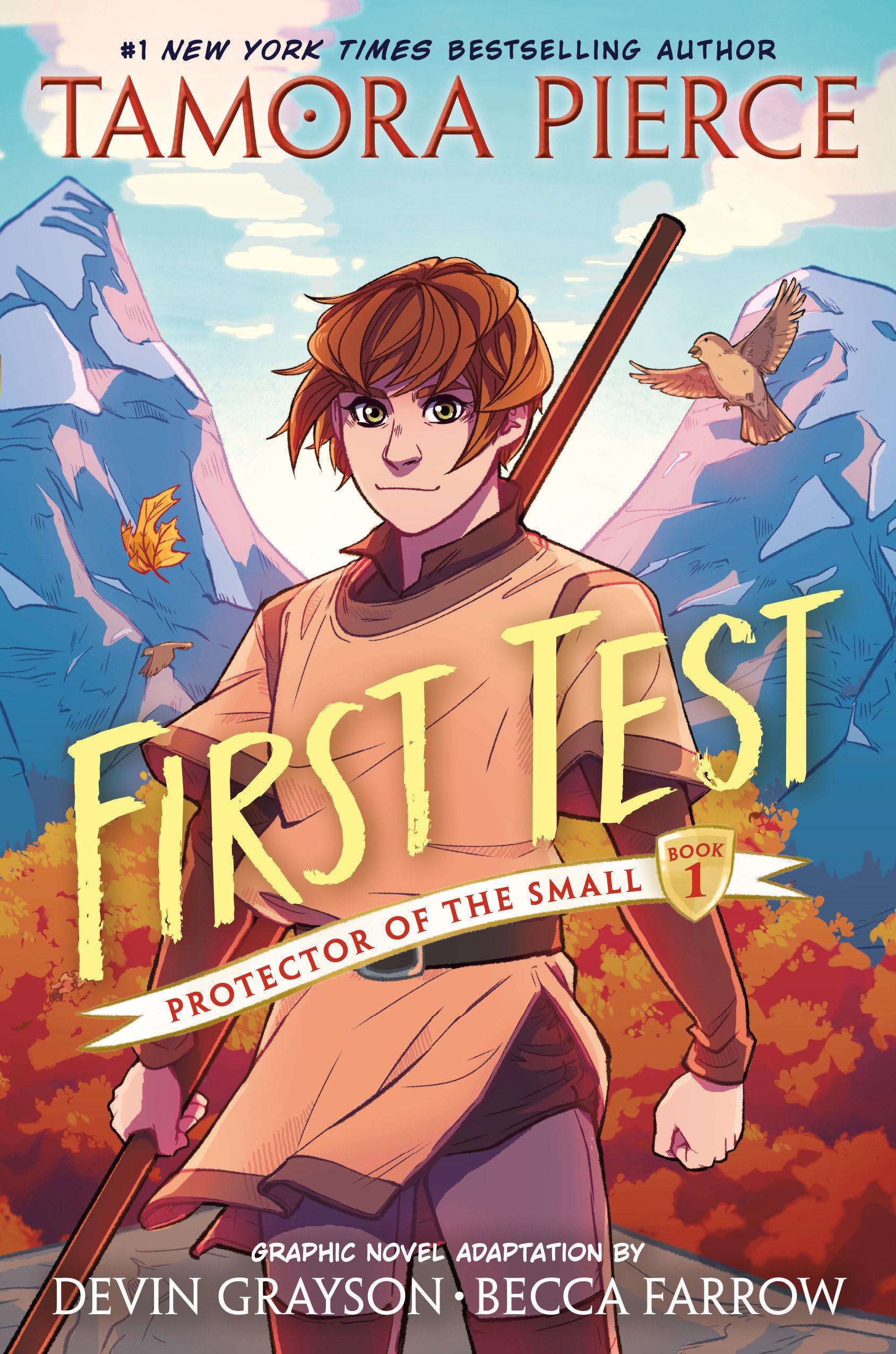 First Test Graphic Novel: (A Graphic Novel) (Protector of the Small, Band 1) Manga