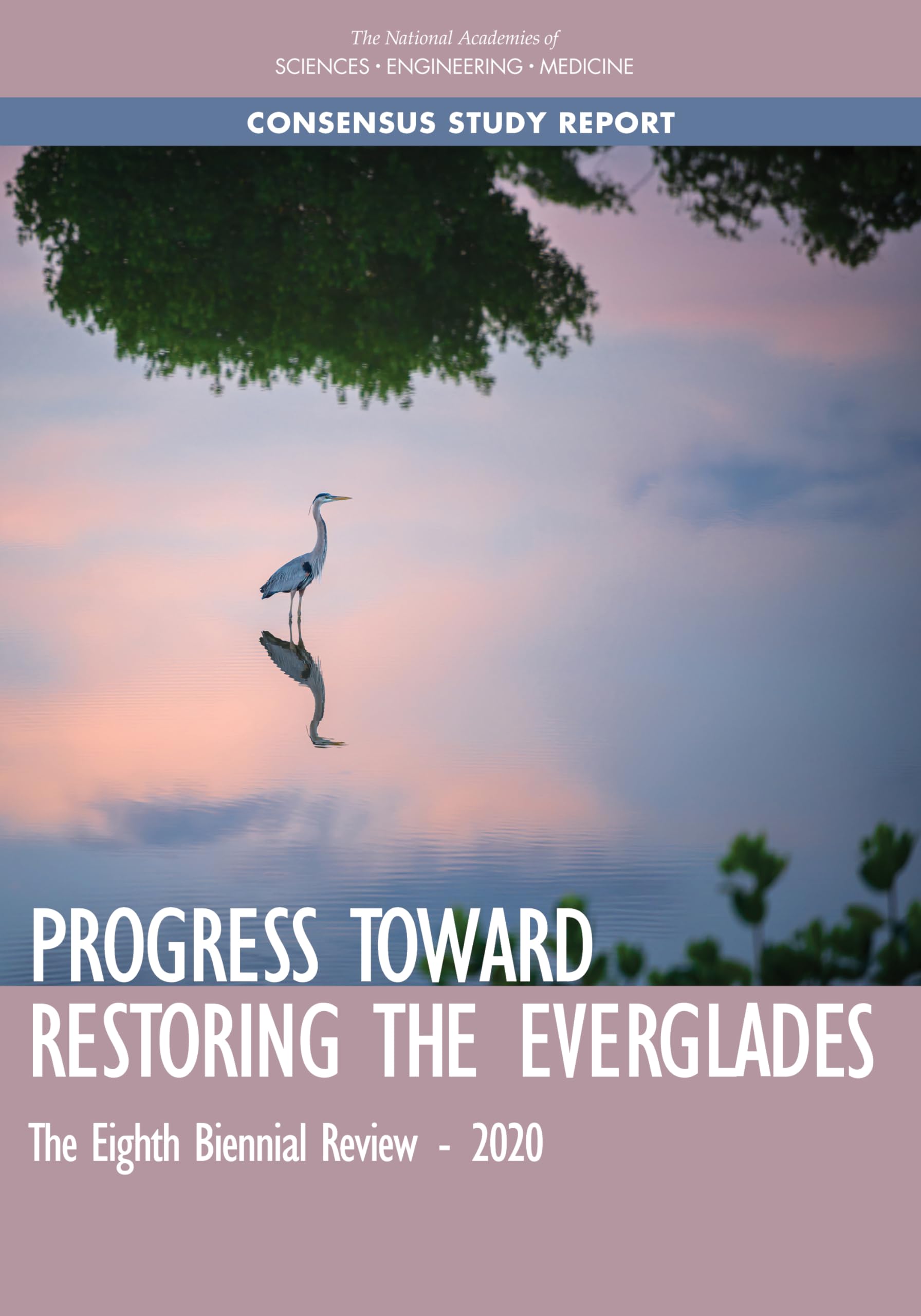 Progress Toward Restoring the Everglades: The Eighth Biennial Review - 2020 Geology & Geography