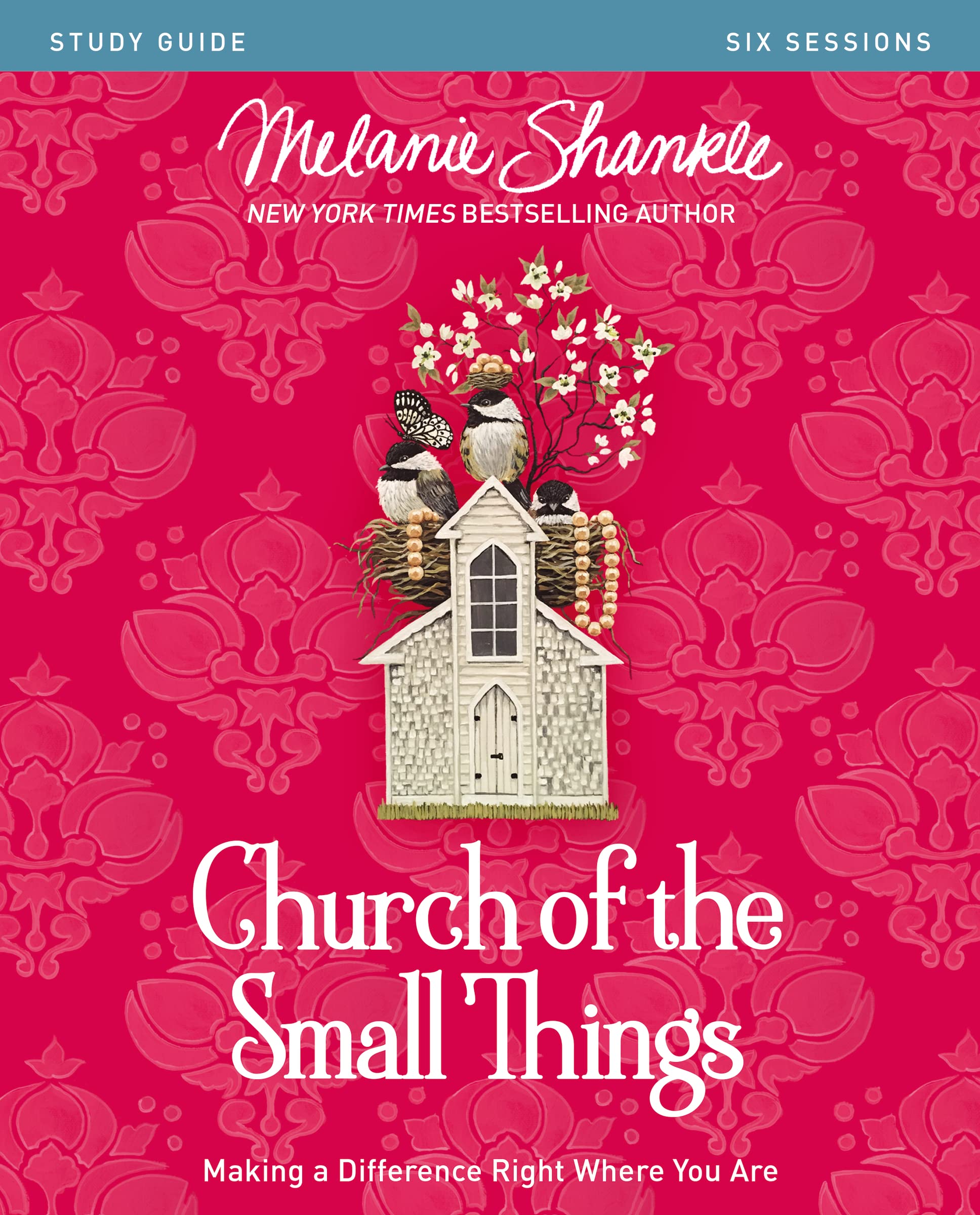 Church of the Small Things Bible Study Guide: Making a Difference Right Where You Are Social Sciences