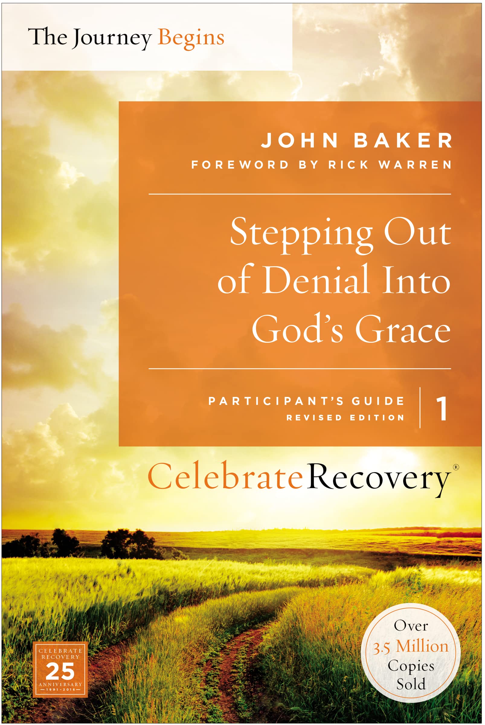 Stepping Out of Denial Into God's Grace, Volume 1: A Recovery Program Based on Eight Principles from the Beatitudes Social Sciences