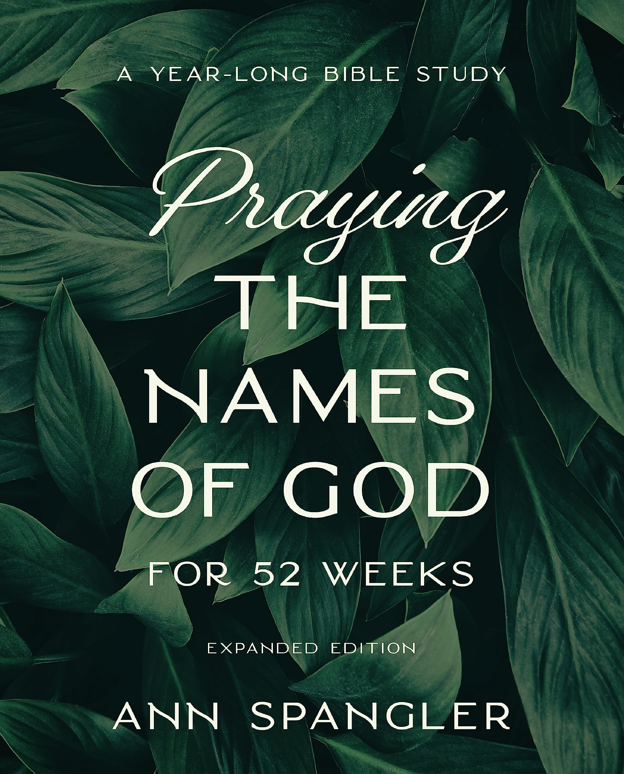 Praying the Names of God for 52 Weeks, Expanded Edition Religion & Esotericism