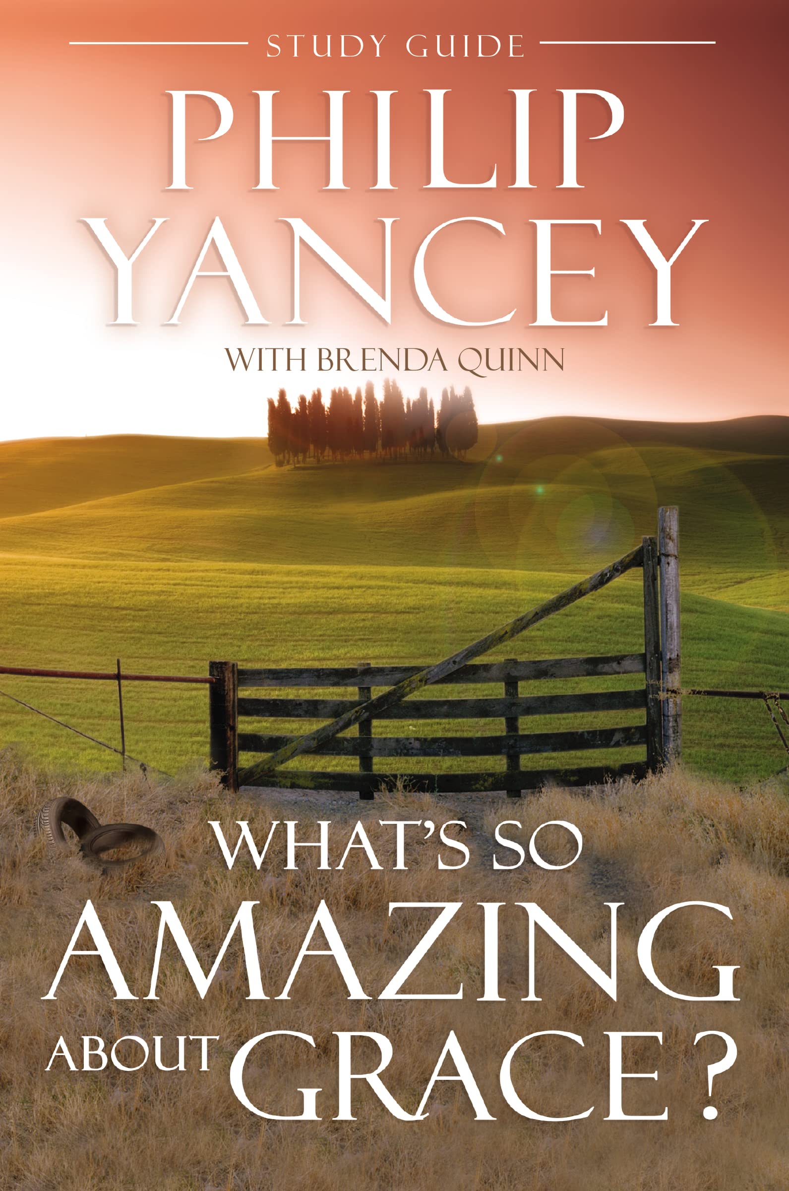 What's So Amazing About Grace? Study Guide: The Key to Transforming a Broken World Religion & Esotericism