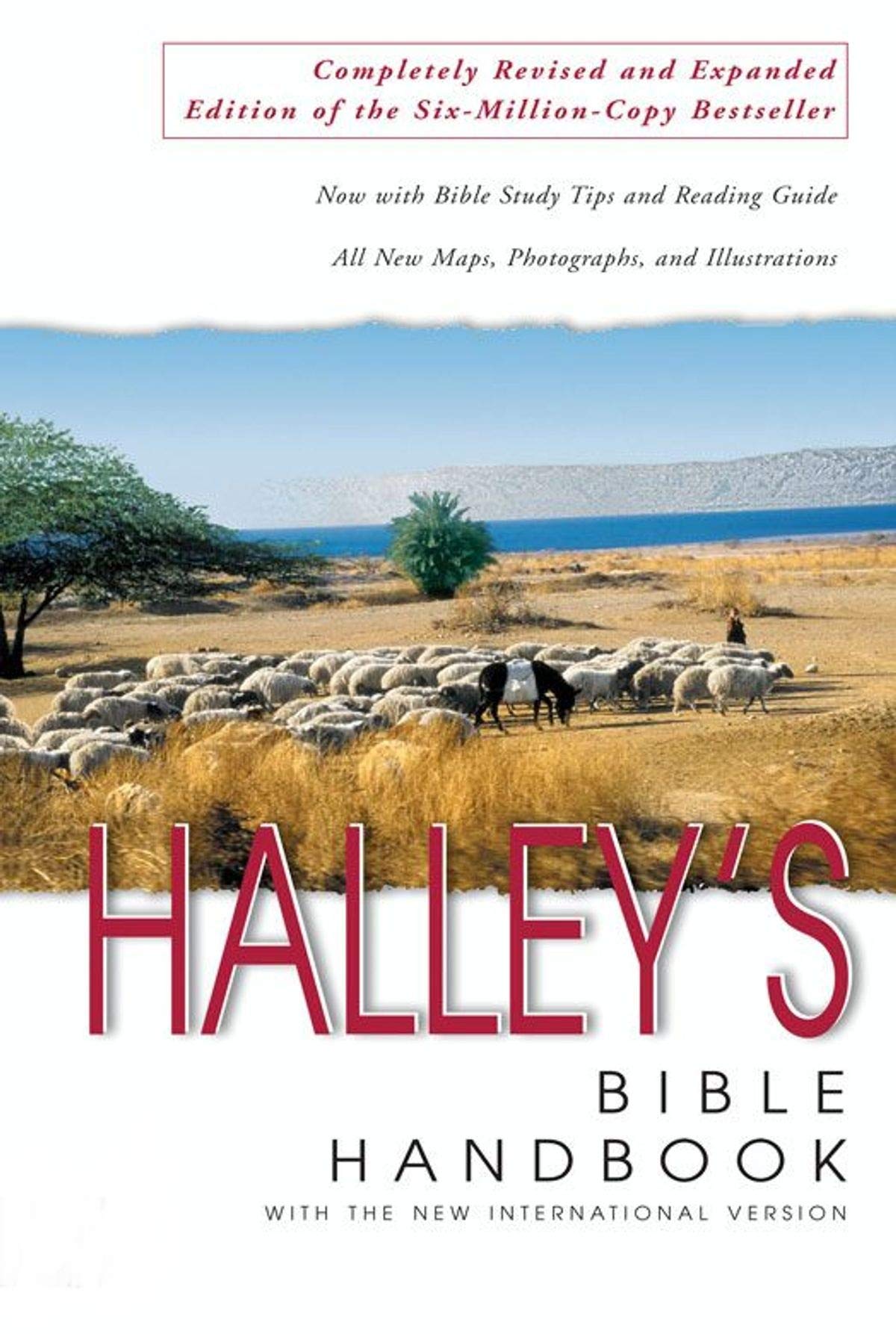 Halley's Bible Handbook with the New International Version Film, Art & Culture