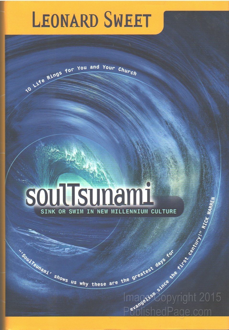 Soultsunami: Sink or Swim in New Millennium Culture Religion & Esotericism