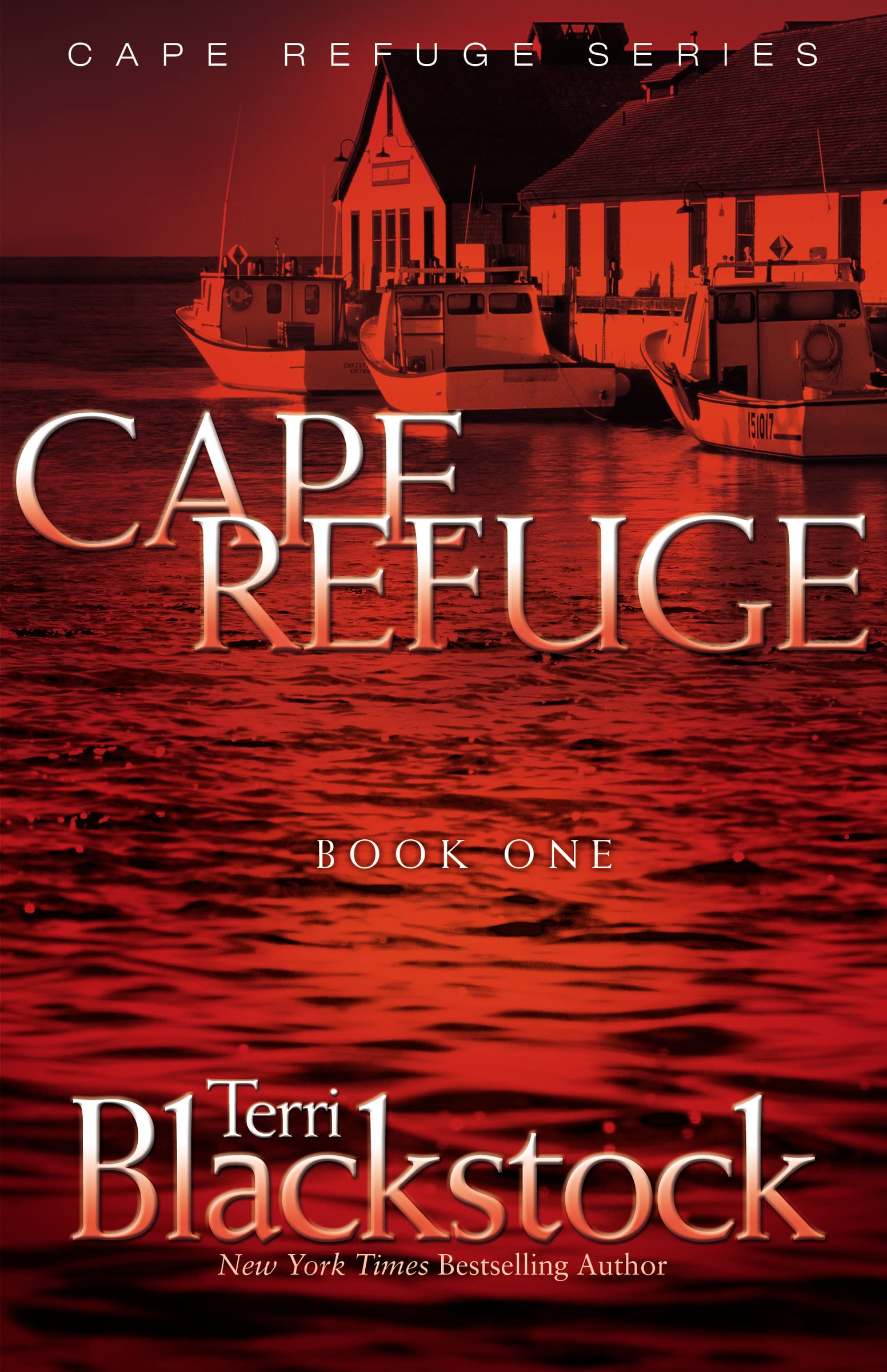 Cape Refuge (1): Book 1 (Cape Refuge Series, Band 1) Contemporary literature
