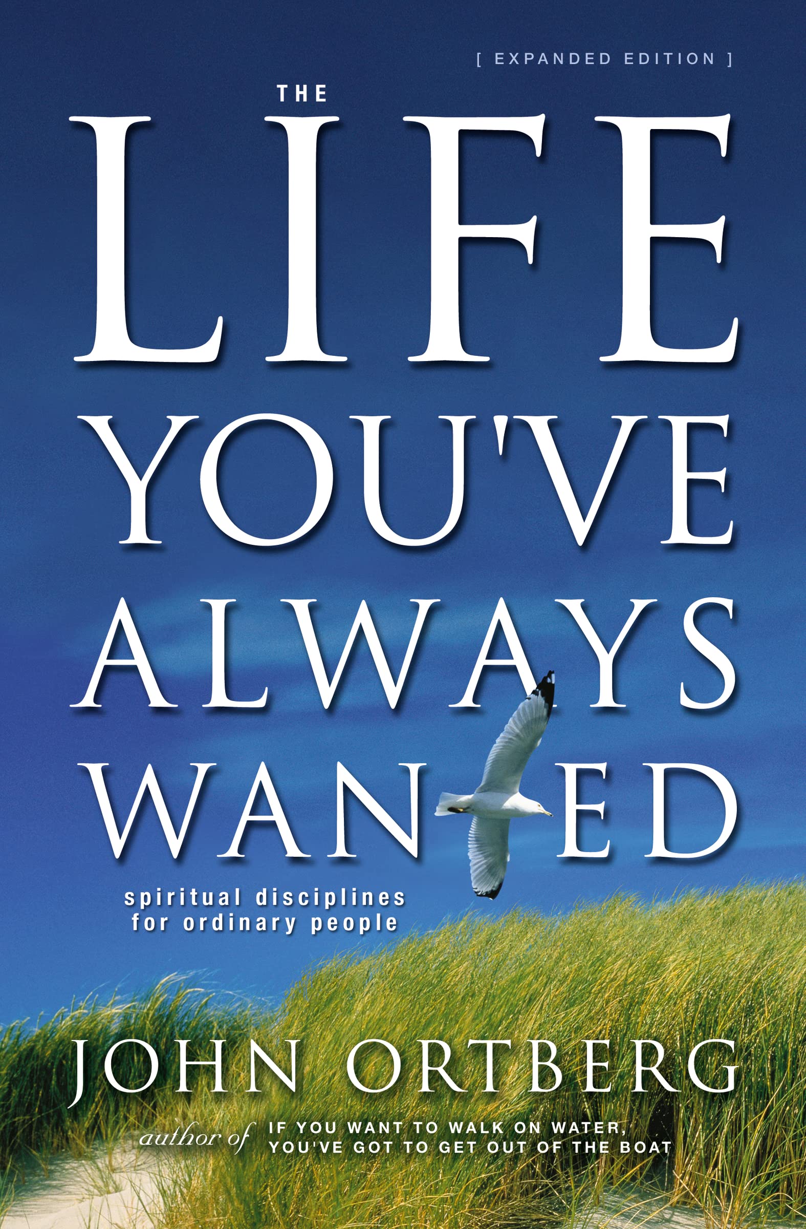 The Life You've Always Wanted: Spiritual Disciplines for Ordinary People Film, Art & Culture