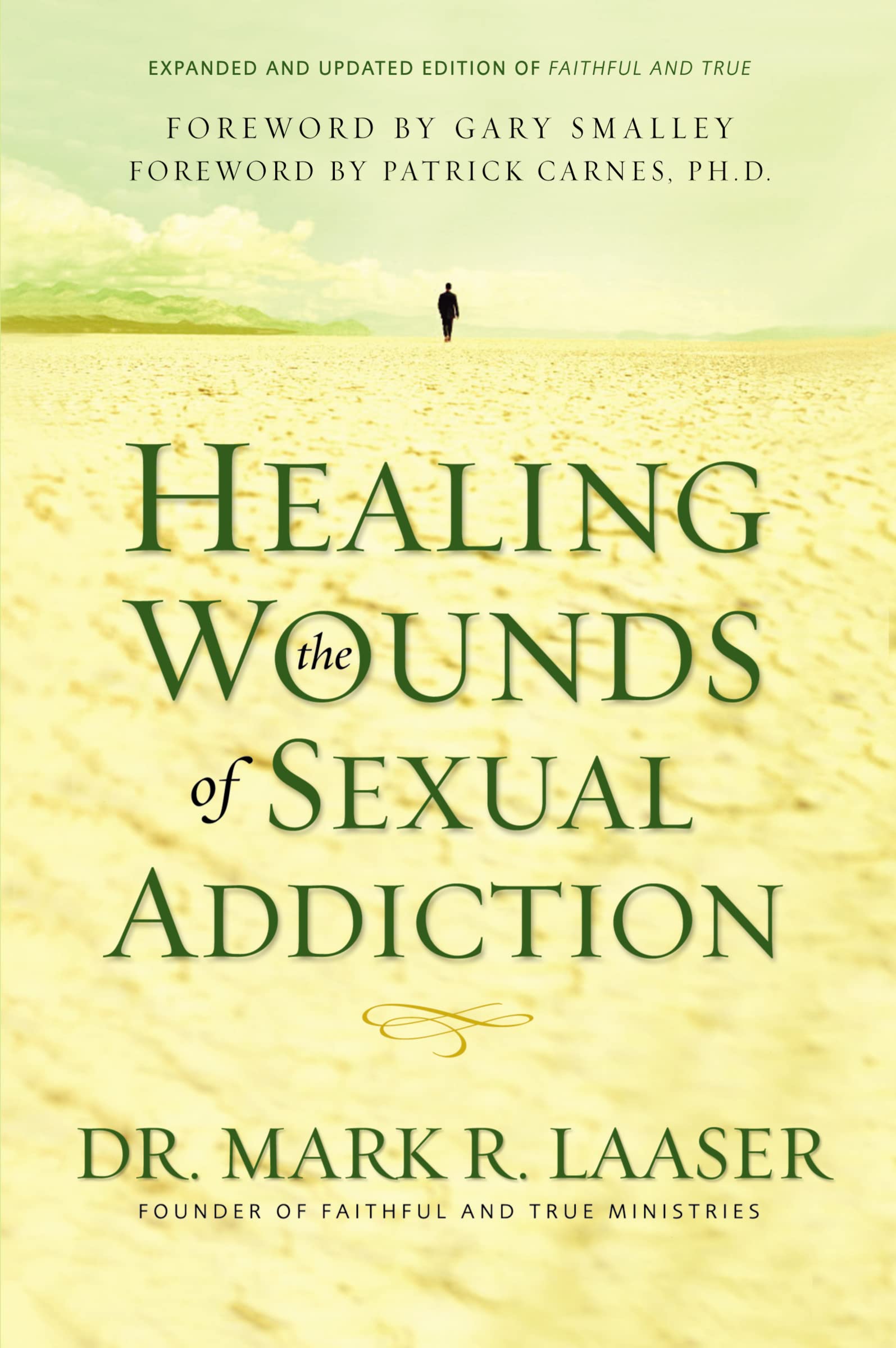 Healing the Wounds of Sexual Addiction: Discover the Practical and Spiritual Steps to Lasting Recovery Partnership & Love