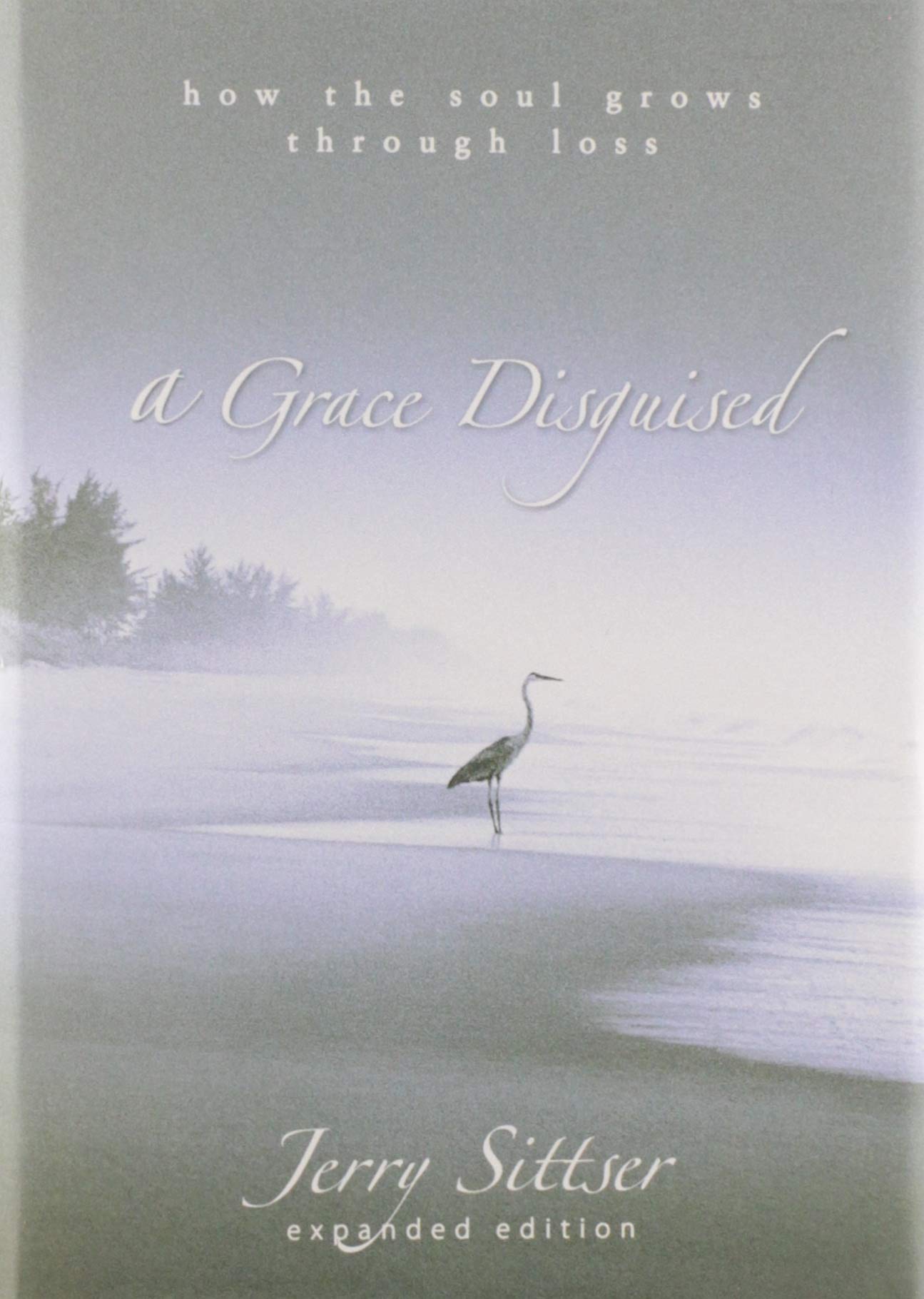 A Grace Disguised: How the Soul Grows through Loss Film, Art & Culture