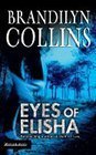 Eyes of Elisha Religion & Esotericism