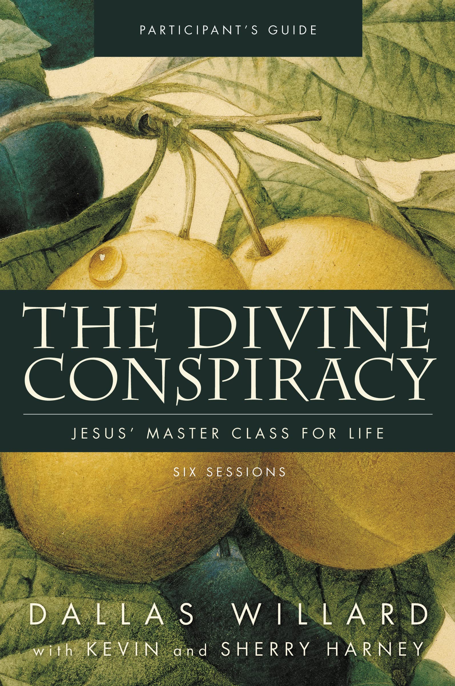 The Divine Conspiracy Bible Study Participant's Guide: Jesus' Master Class for Life Religion & Esotericism