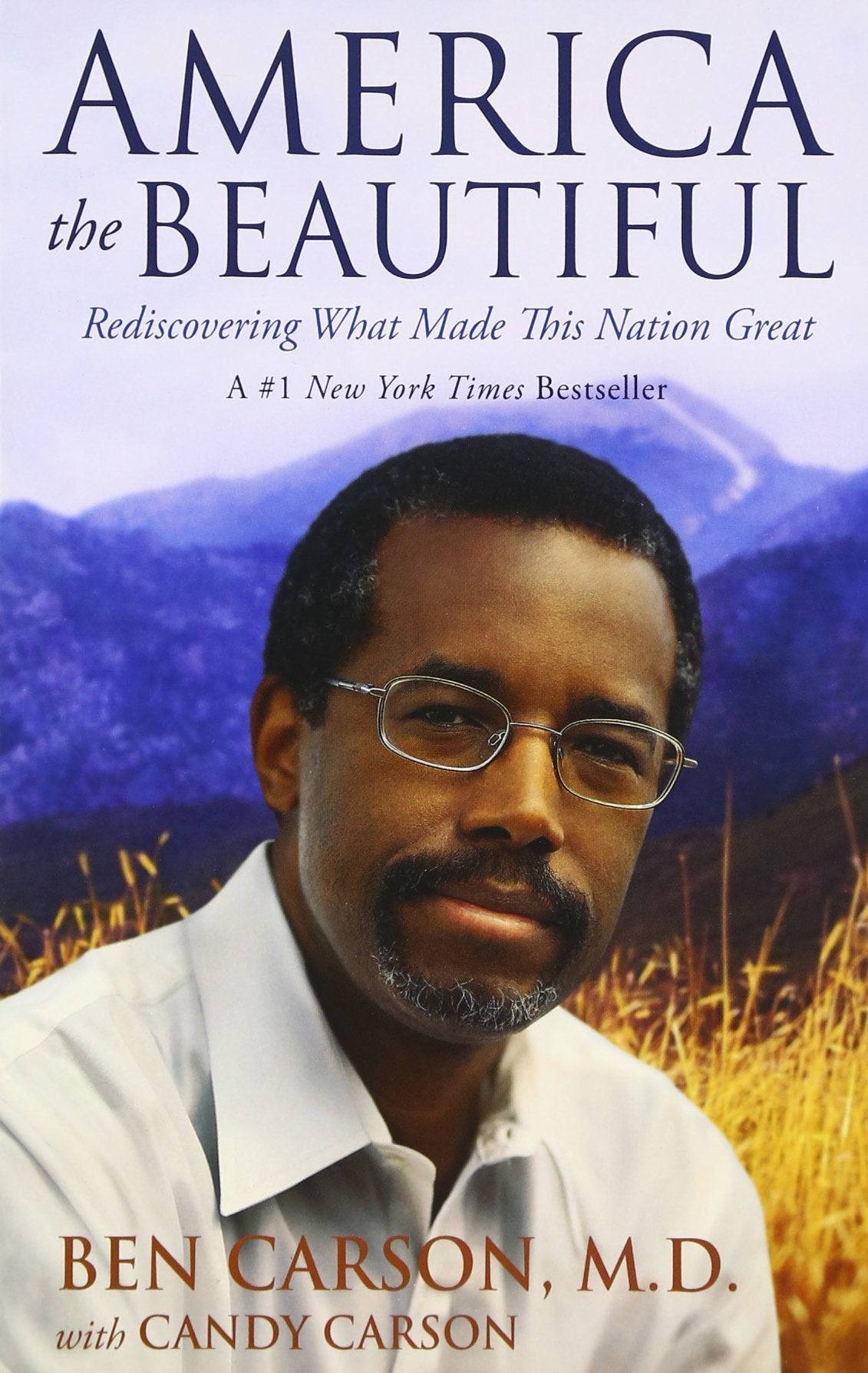 America the Beautiful: Rediscovering What Made This Nation Great Social Sciences