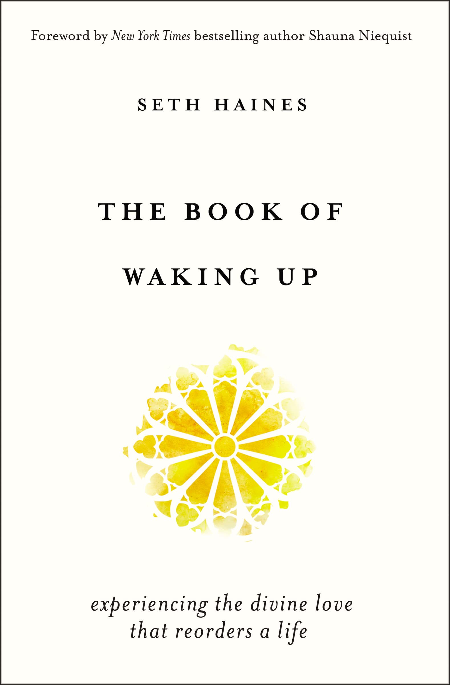 The Book of Waking Up book