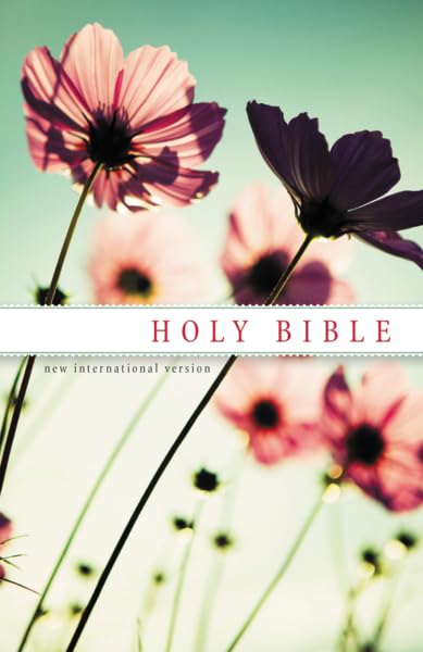 NIV, Holy Bible, Paperback Social Sciences