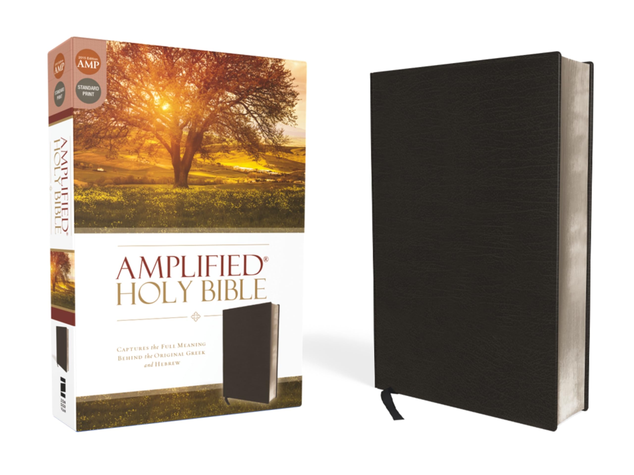 Amplified Holy Bible, Bonded Leather, Black: Captures the Full Meaning Behind the Original Greek and Hebrew Religion & Esotericism