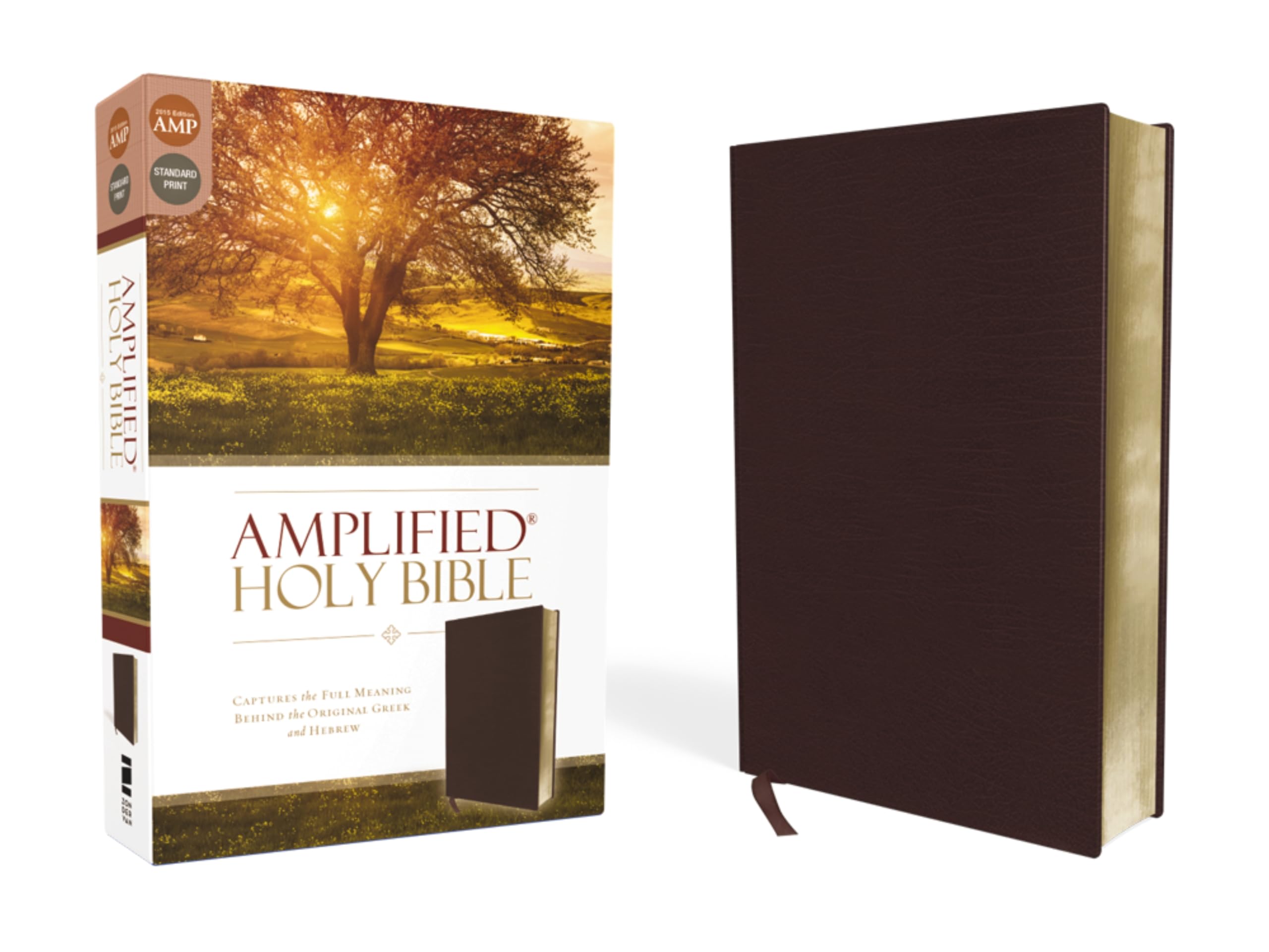 Amplified Holy Bible, Bonded Leather, Burgundy: Captures the Full Meaning Behind the Original Greek and Hebrew Film, Art & Culture