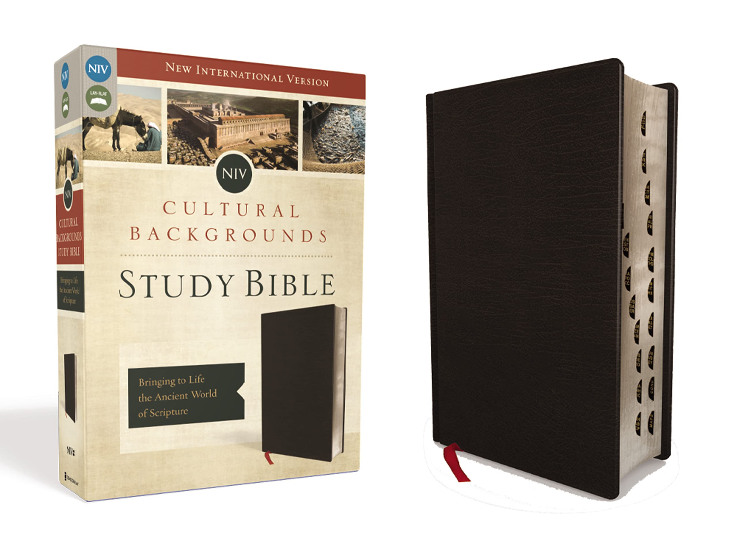 NIV, Cultural Backgrounds Study Bible (Context Changes Everything), Bonded Leather, Black, Red Letter, Thumb Indexed: Bringing to Life the Ancient World of Scripture Philosophy