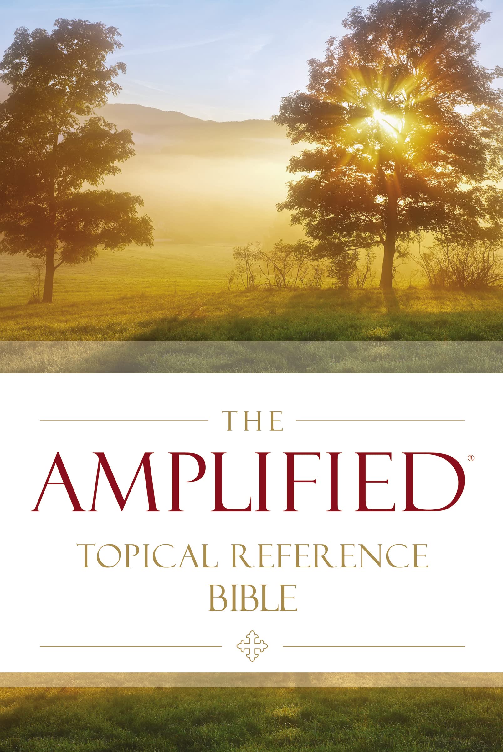 The Amplified Topical Reference Bible, Hardcover: Captures the Full Meaning Behind the Original Greek and Hebrew Film, Art & Culture