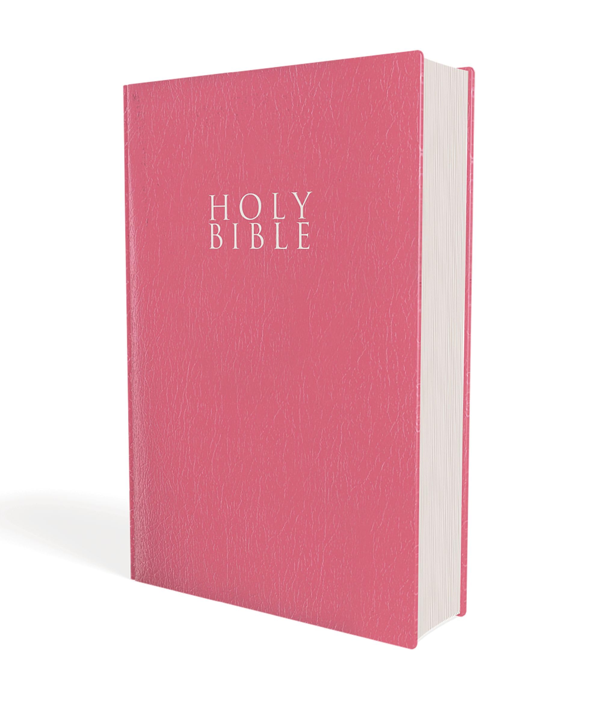 NIV, Gift and Award Bible, Leather-Look, Pink, Red Letter, Comfort Print: New International Version, Pink, Leather-Look, Gift and Award Religion & Esotericism