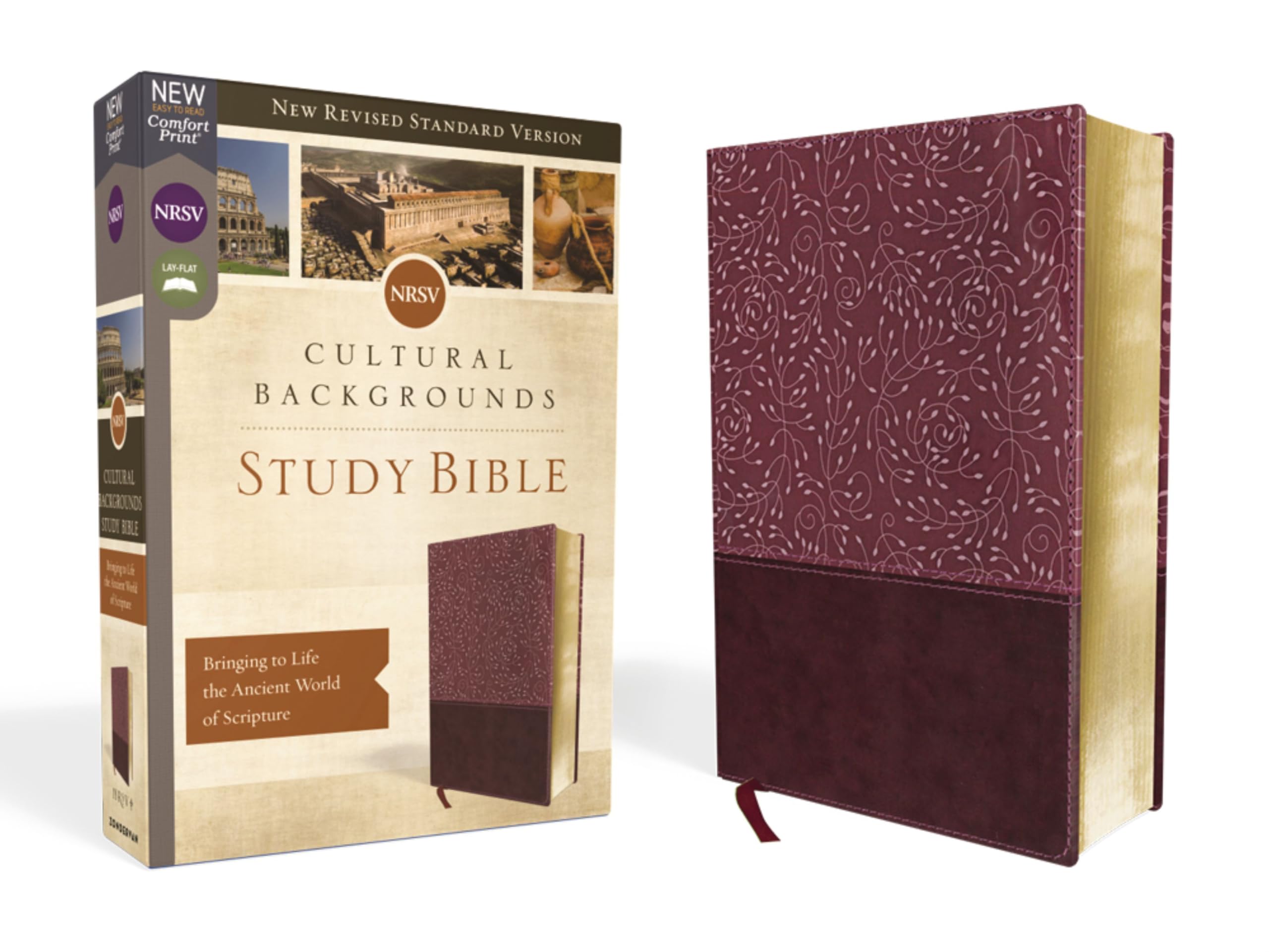 NRSV, Cultural Backgrounds Study Bible, Leathersoft, Burgundy, Comfort Print: Bringing to Life the Ancient World of Scripture Social Sciences