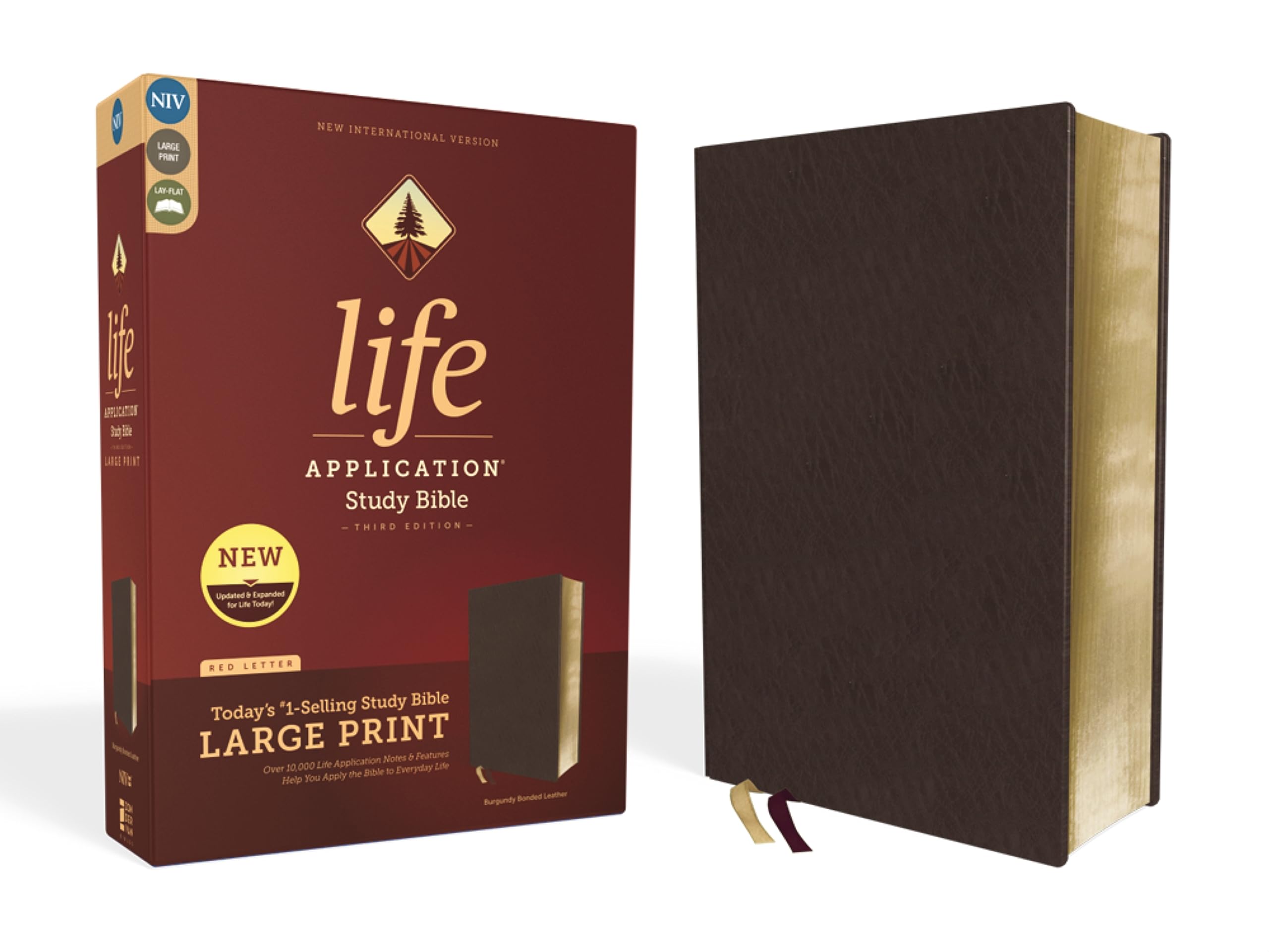 NIV, Life Application Study Bible, Third Edition, Large Print, Bonded Leather, Burgundy, Red Letter: New International Version, Life Application Study ... Burgundy, Bonded Leather, Red Letter Edition Film, Art & Culture