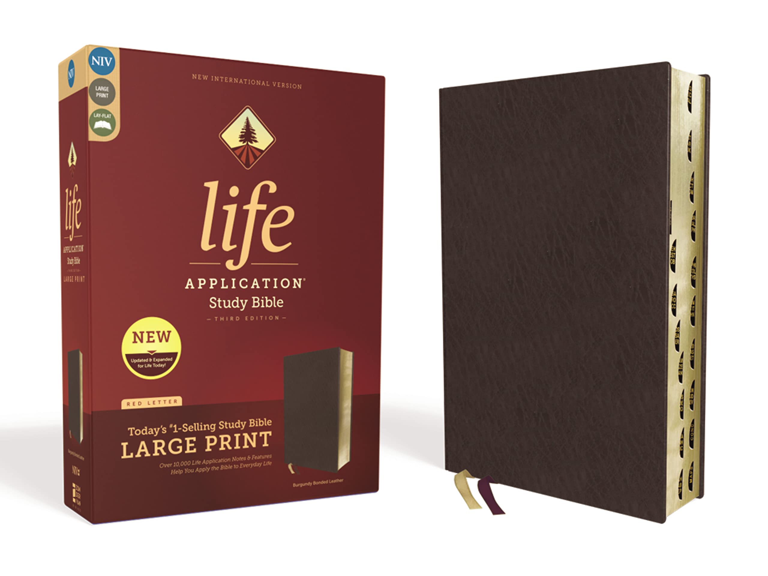 NIV, Life Application Study Bible, Third Edition, Large Print, Bonded Leather, Burgundy, Red Letter, Thumb Indexed: New International Version, Burgundy, Bonded Leather, Red Letter Edition Film, Art & Culture